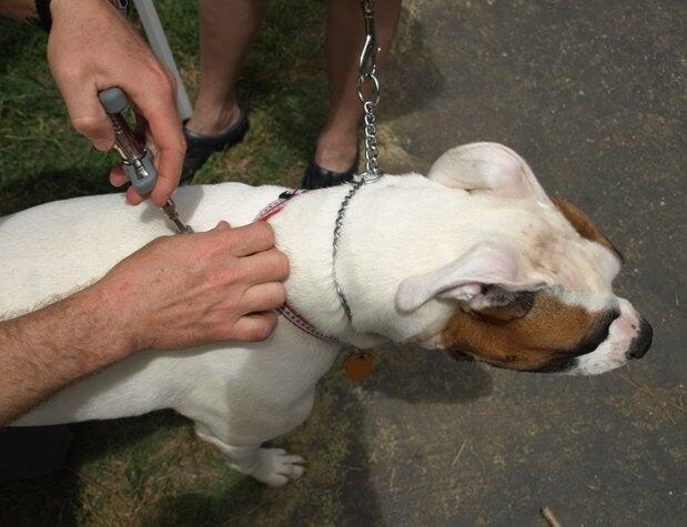 Photo credit: nextdoor