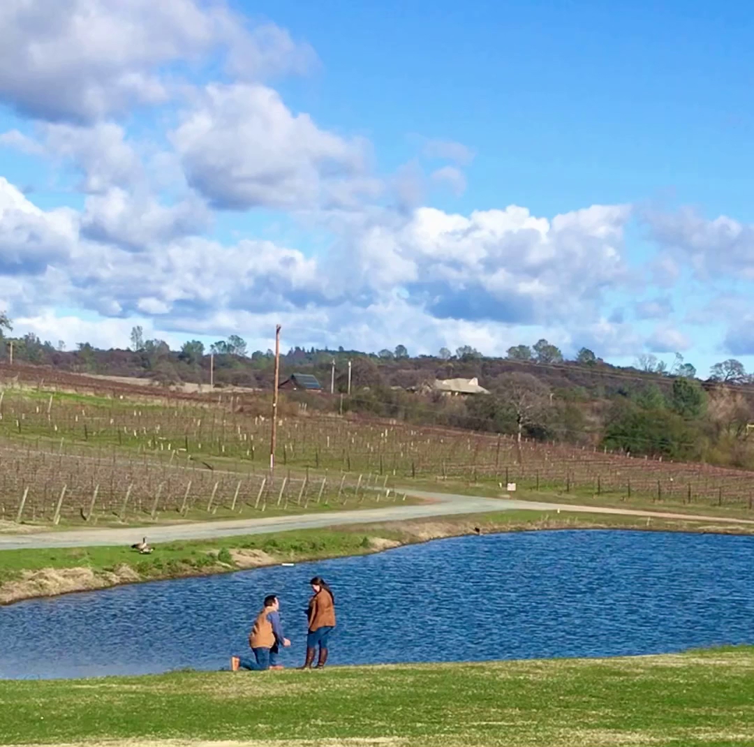 Naggiar Vineyards Menu