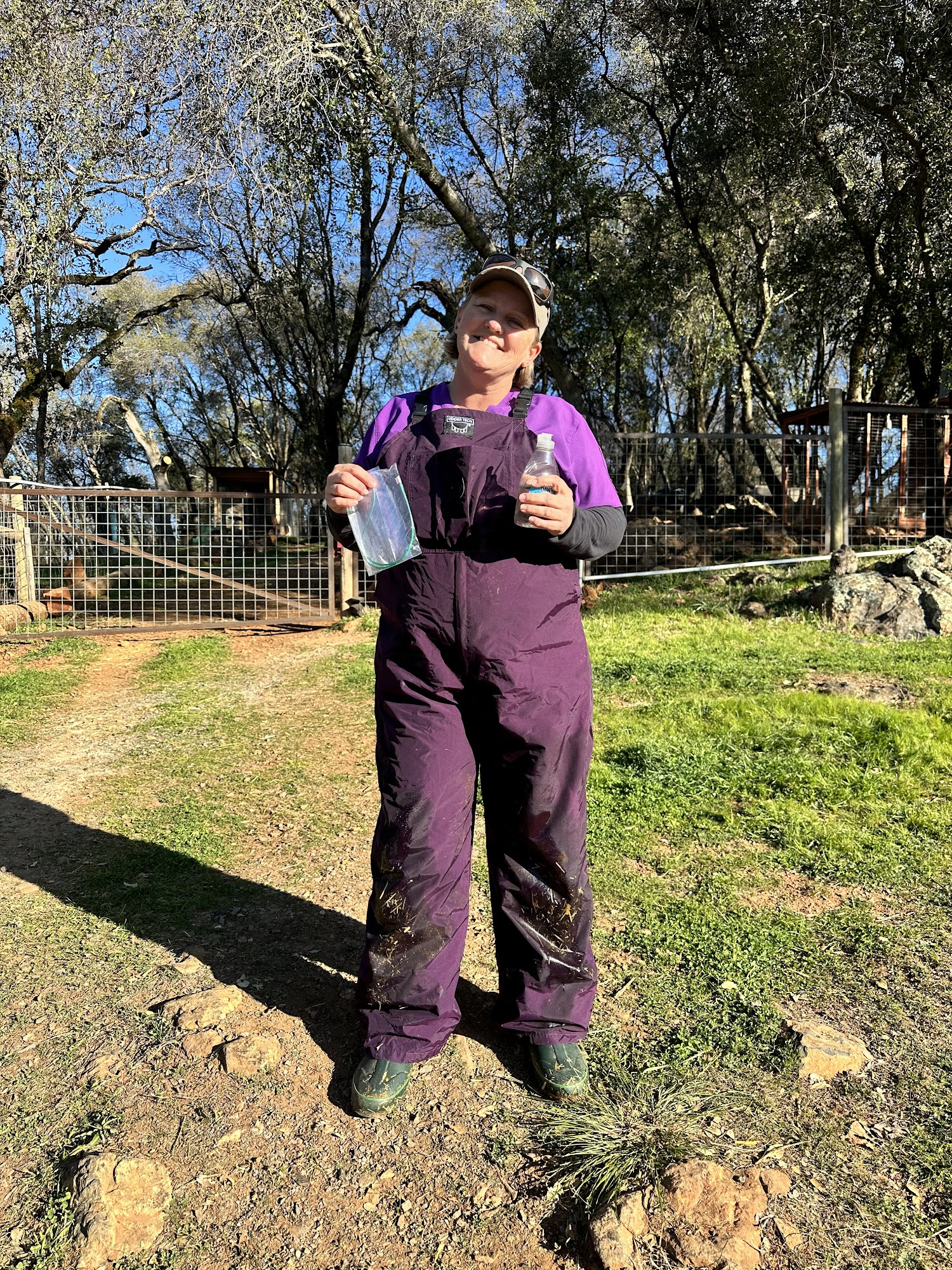 Elaine N Krieg DVM Grass Valley