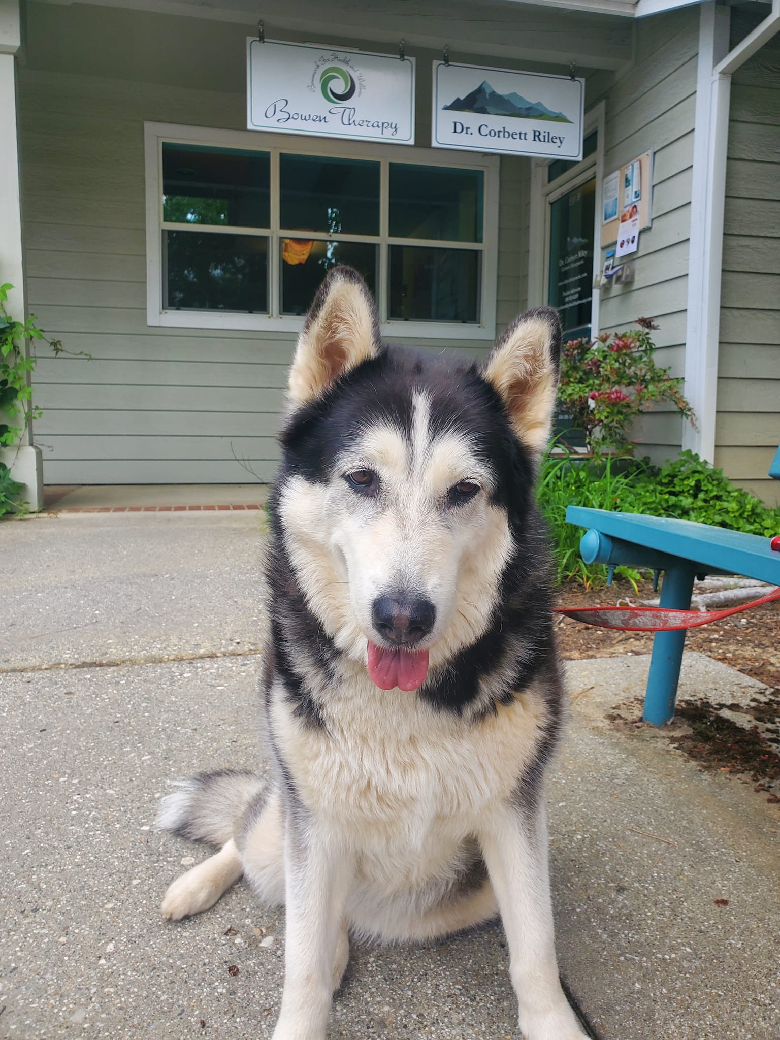 Bowenwork For Health & Wellness