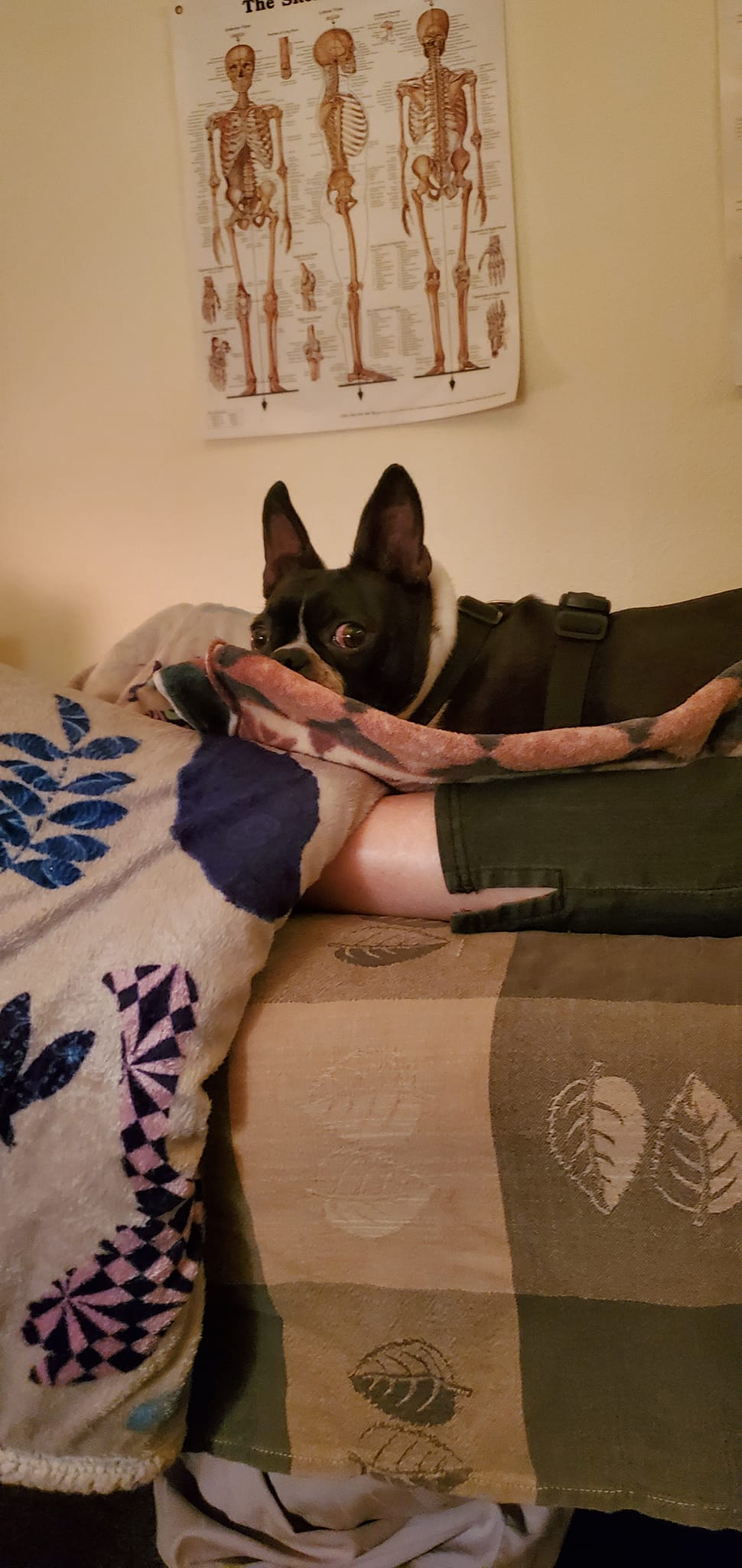 Bowenwork For Health & Wellness