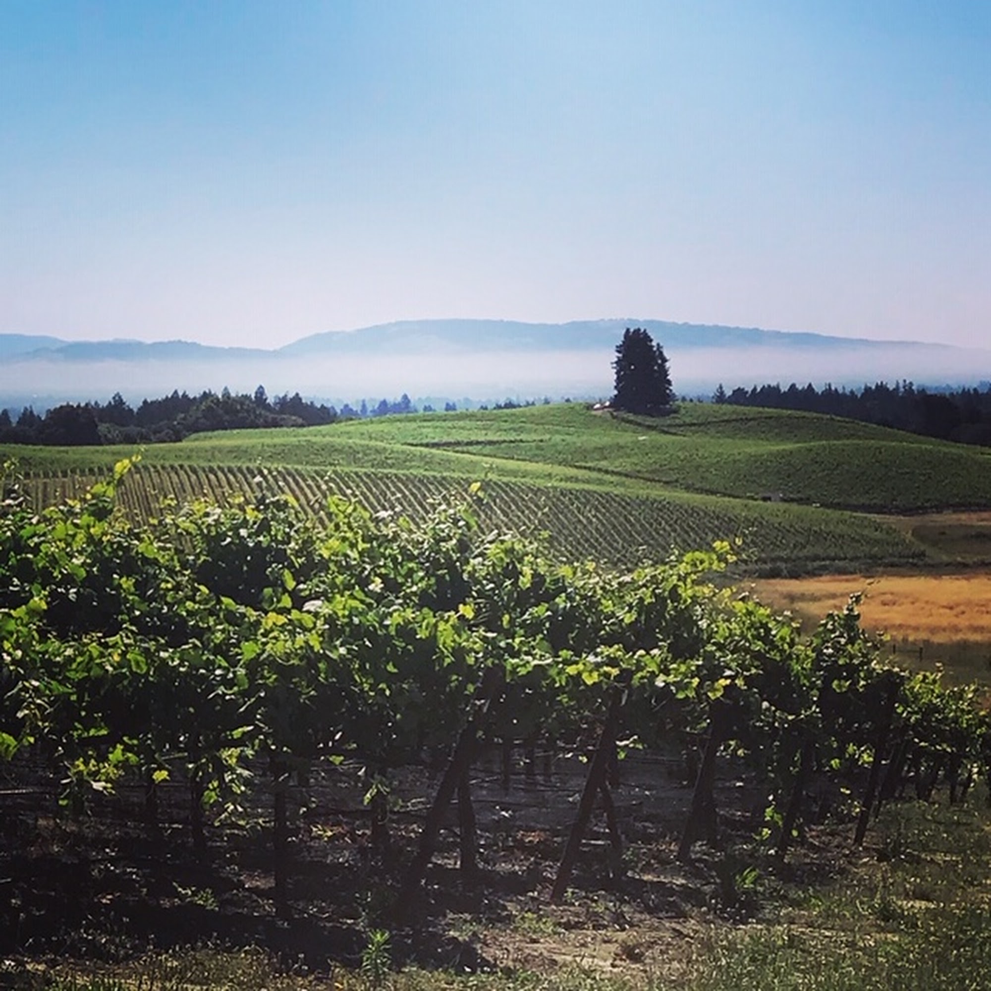 Paul Mathew Co Graton