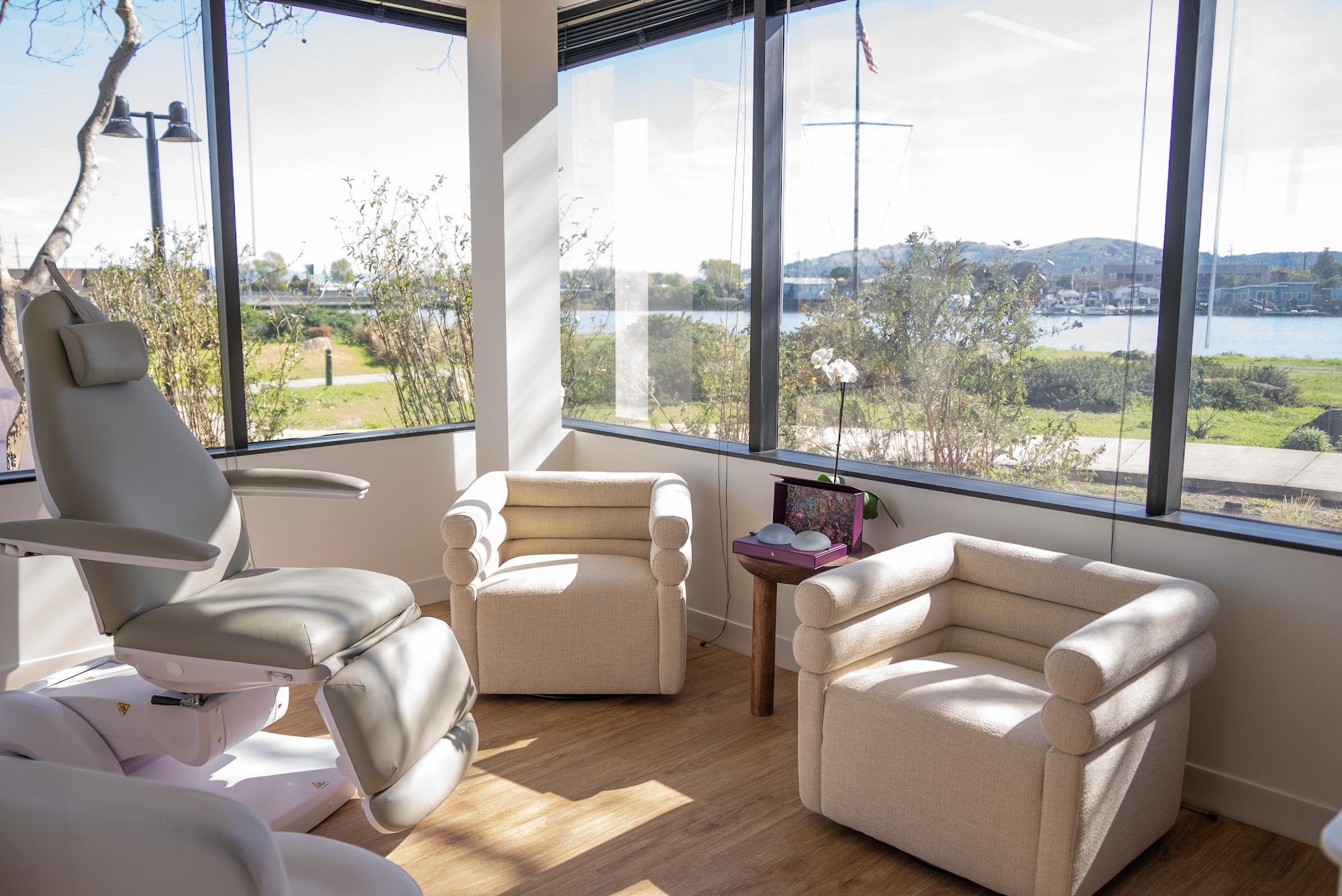 Aesthetx 300 Drakes Landing Rd Ste 100, Greenbrae California 94904