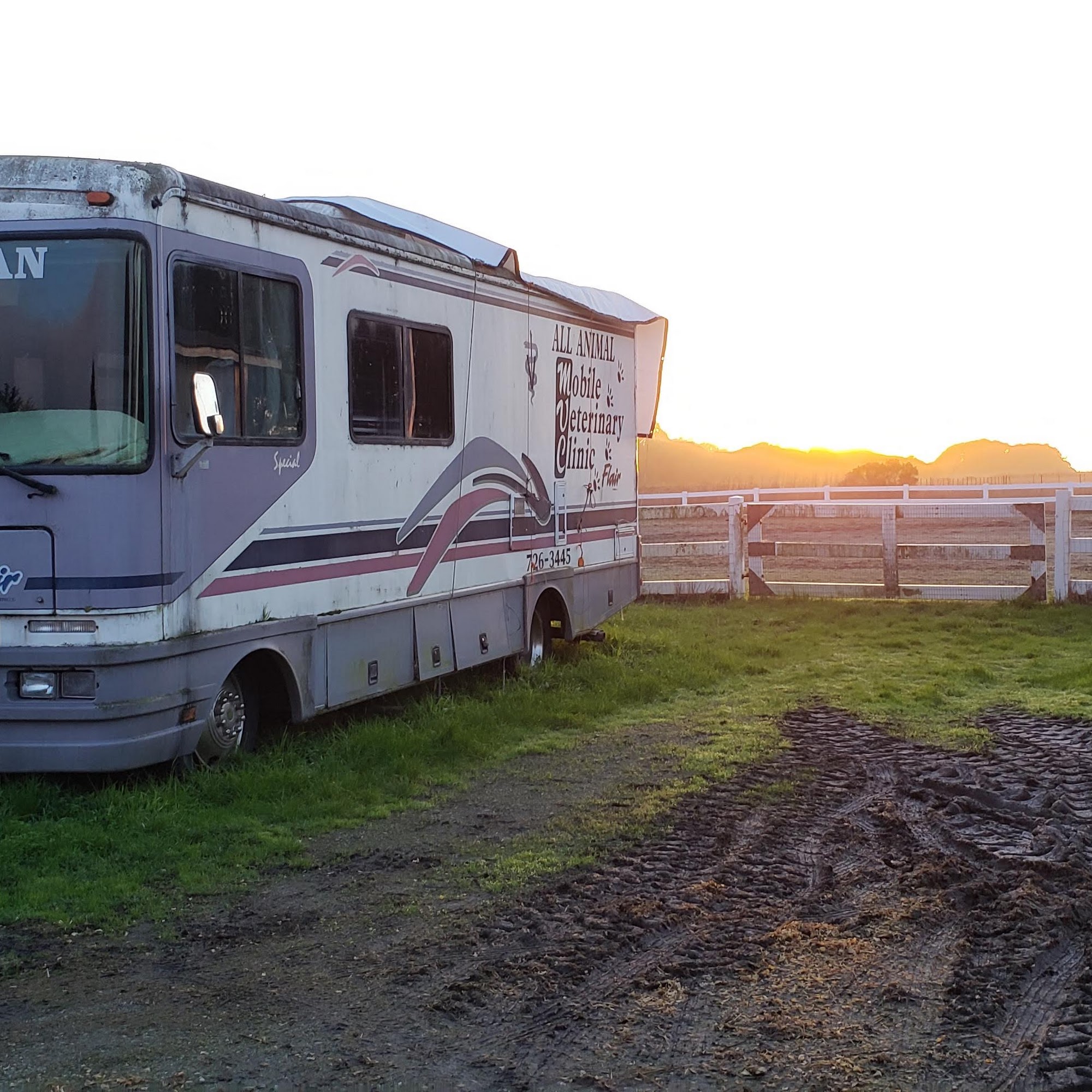 Macinnes Susan DVM Half Moon Bay