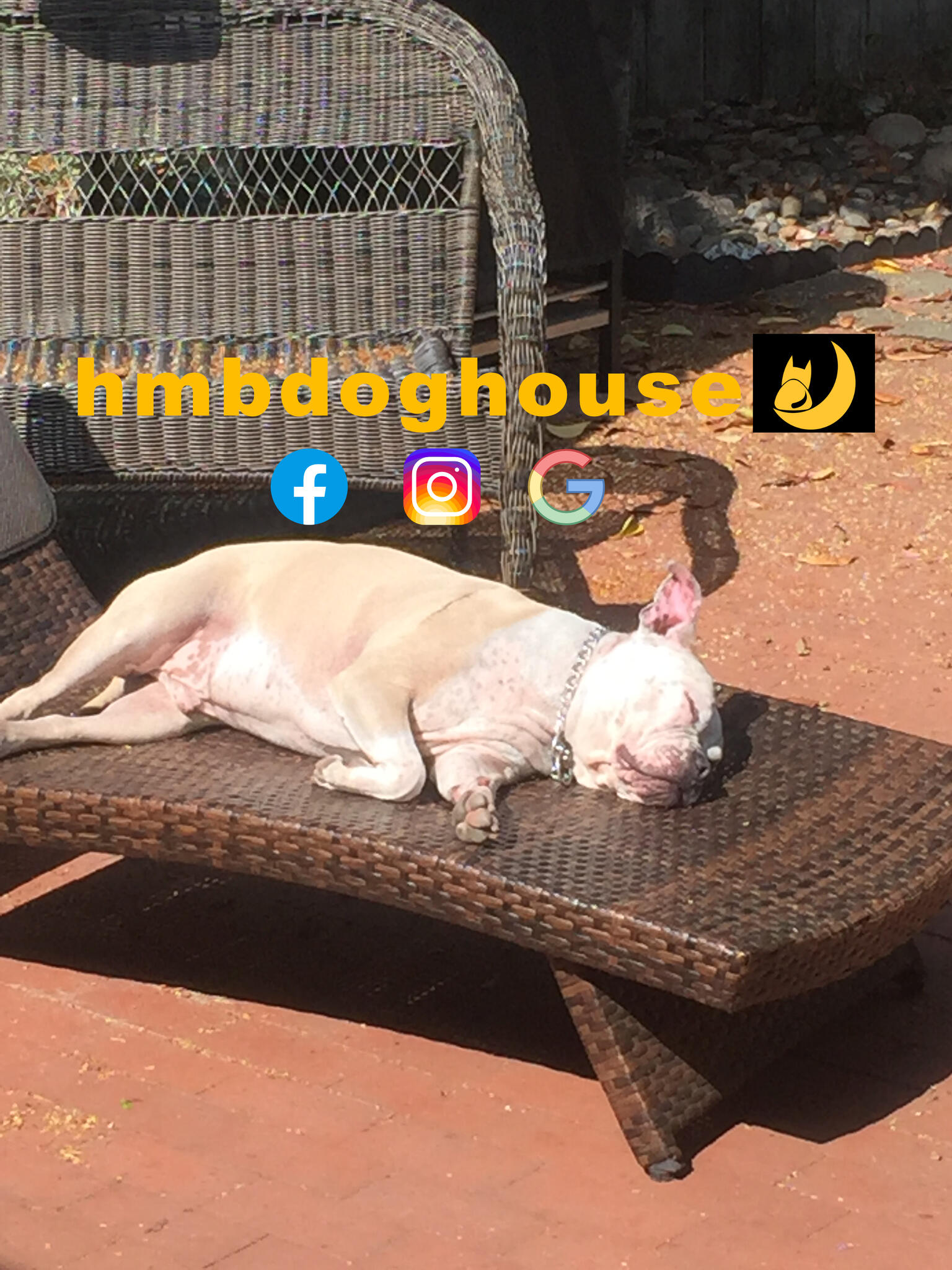 Photo credit: nextdoor