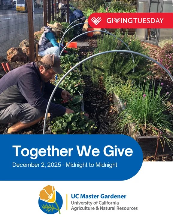 Seascapes Succulent Nursery Half Moon Bay