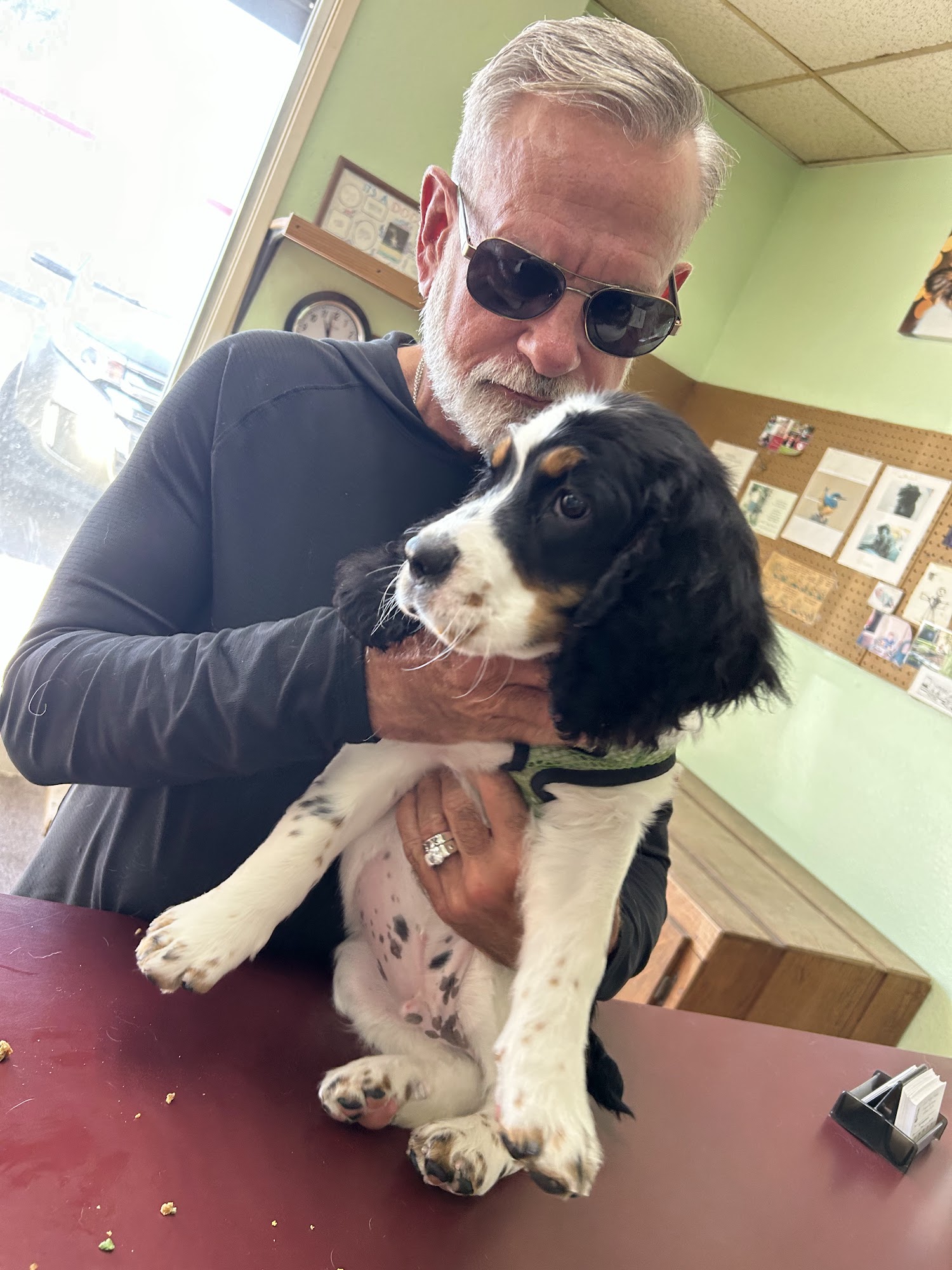 Lori's Puppy Palace Hanford