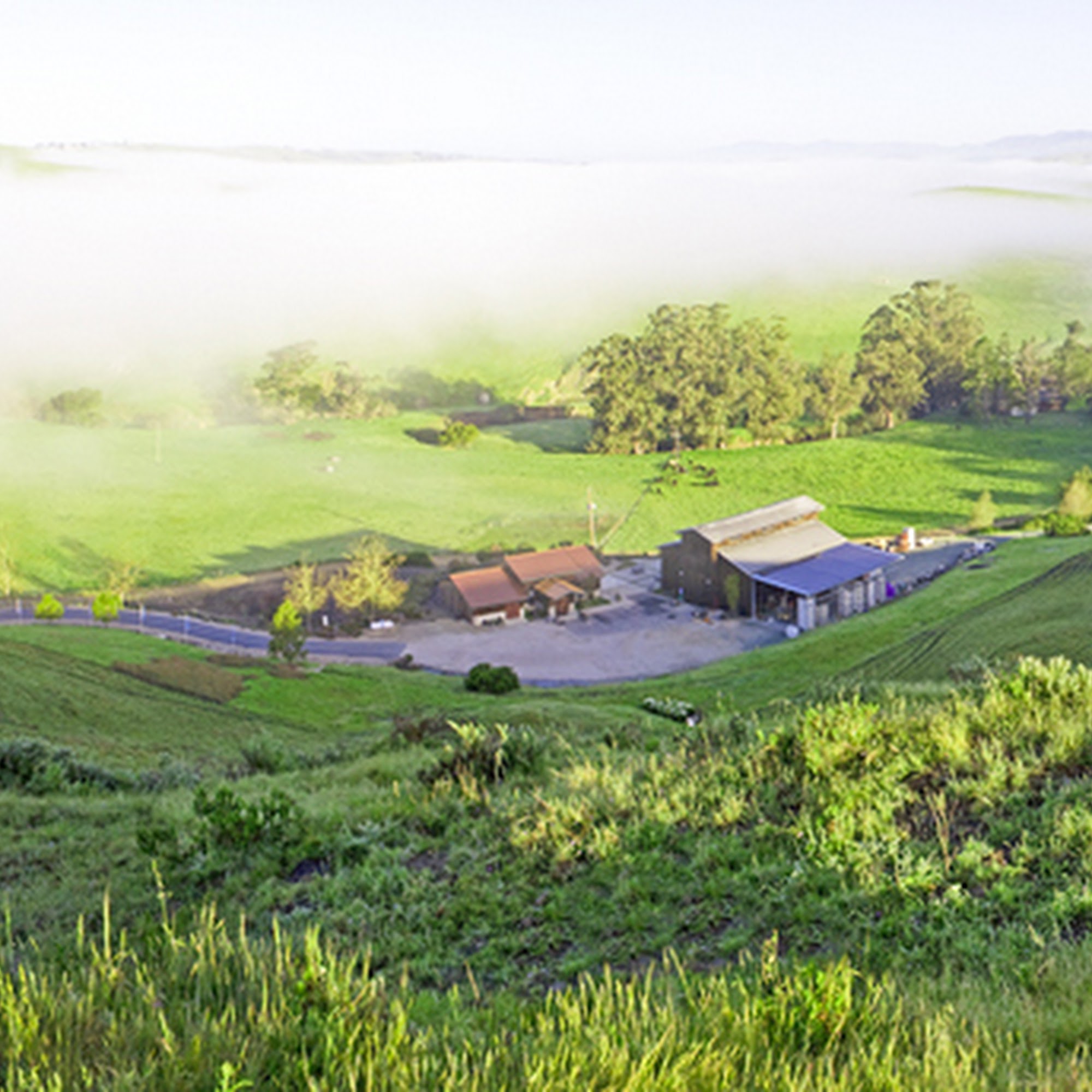 Harmony Cellars Harmony