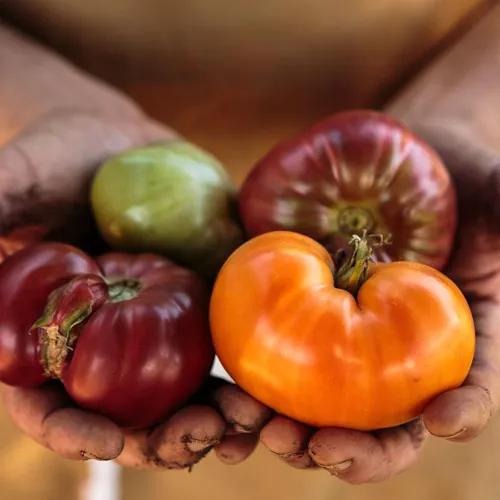 Photo credit: michelin