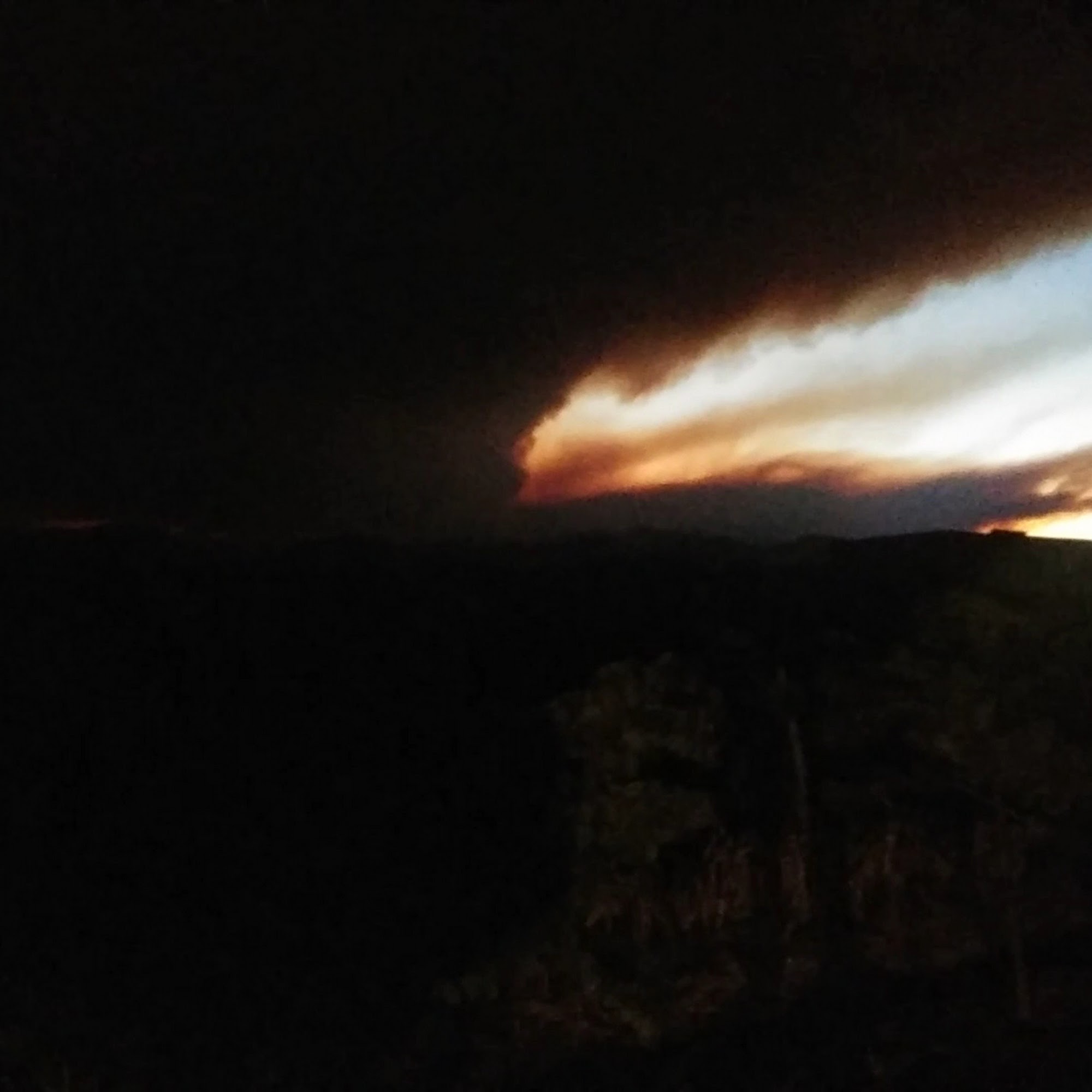 Foppiano Vineyards and Winery Healdsburg