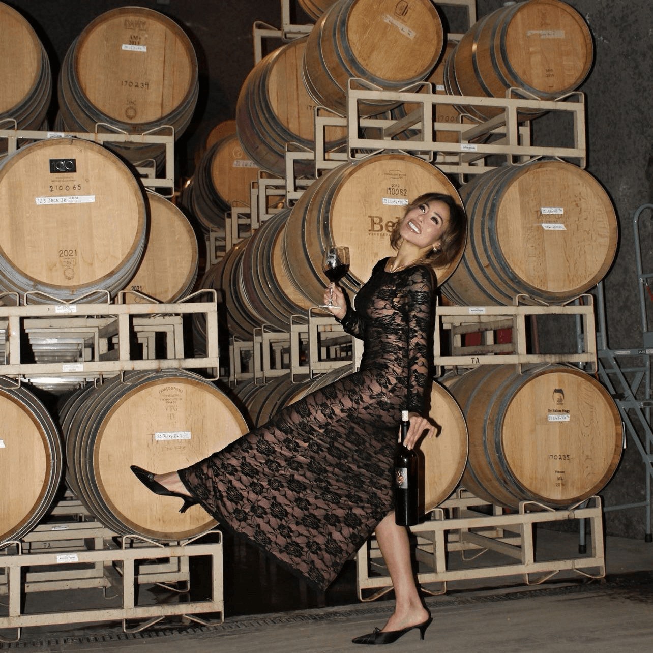 Bella Vineyards & Wine Caves Healdsburg