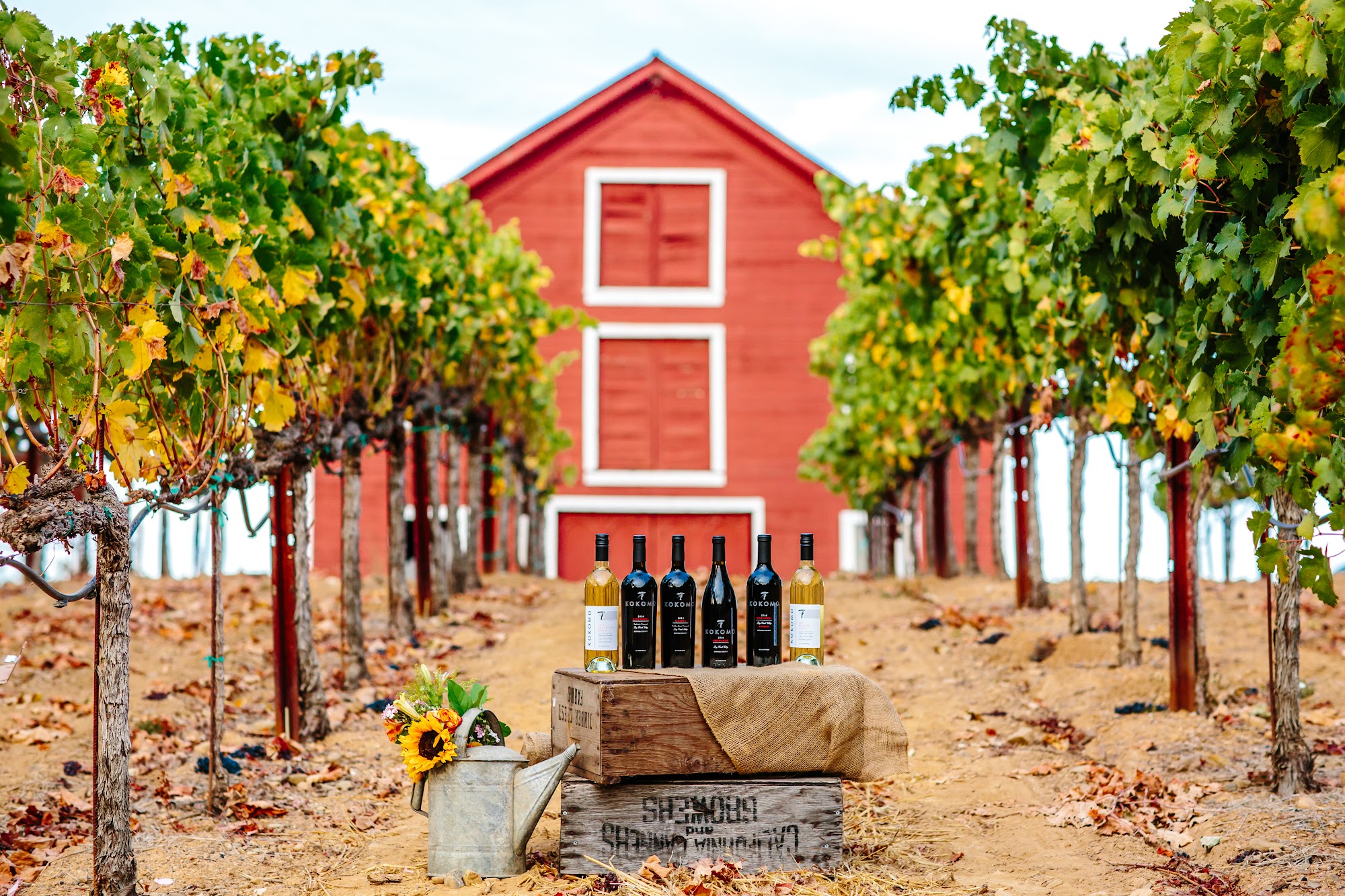 Kokomo Winery - Dry Creek Valley Healdsburg