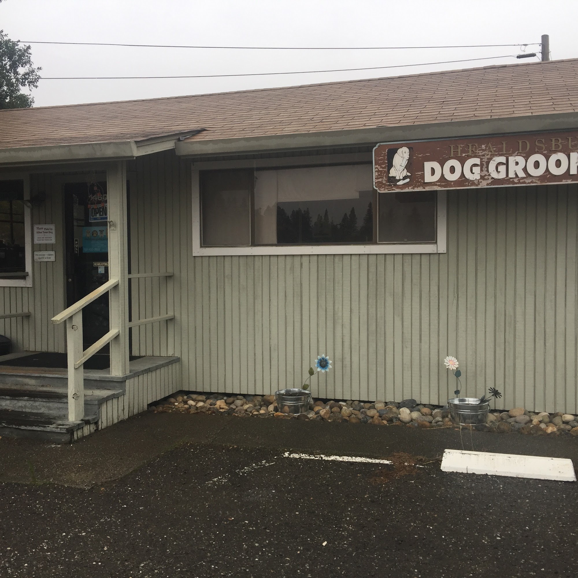 Healdsburg Dog Grooming Healdsburg