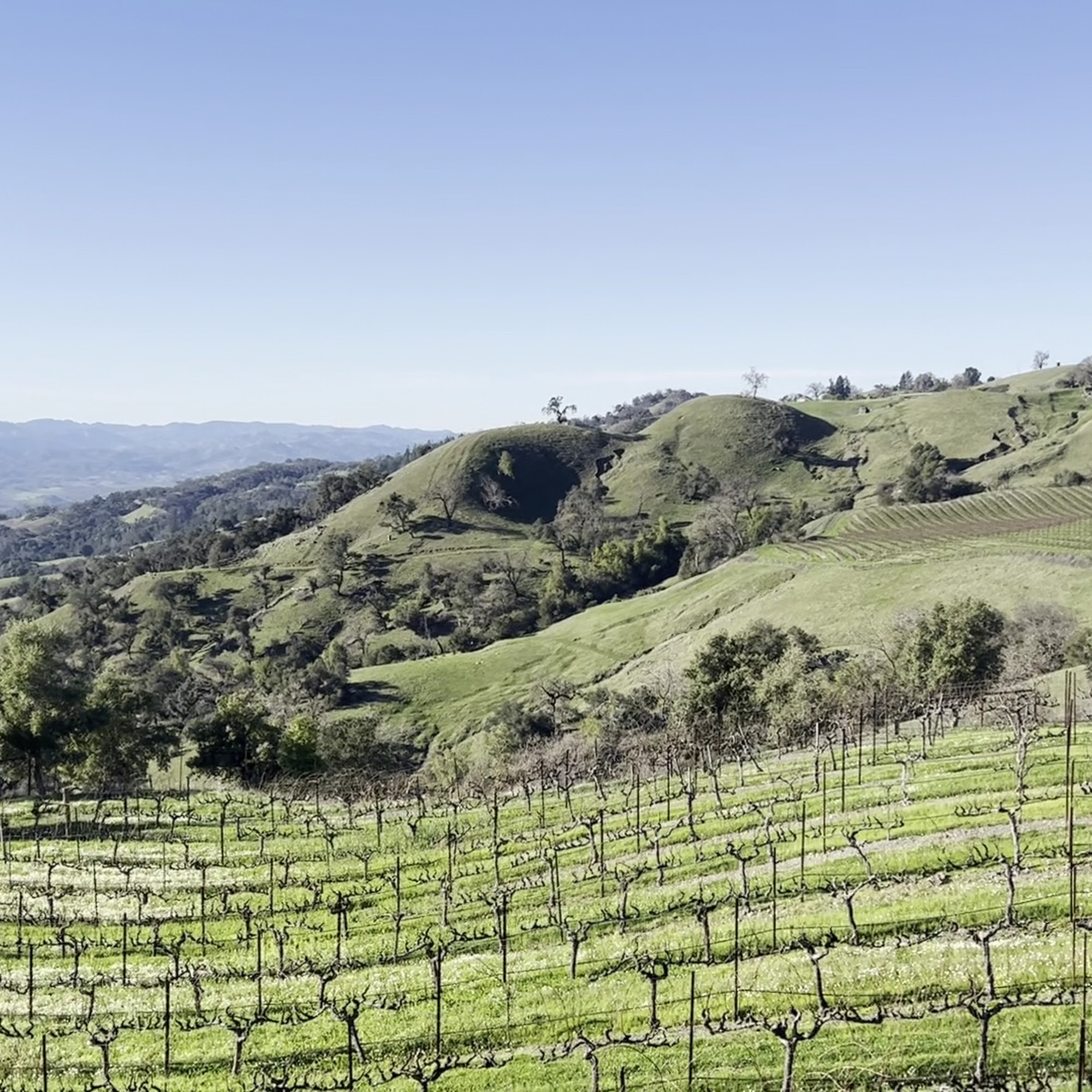 Stonestreet Winery Healdsburg