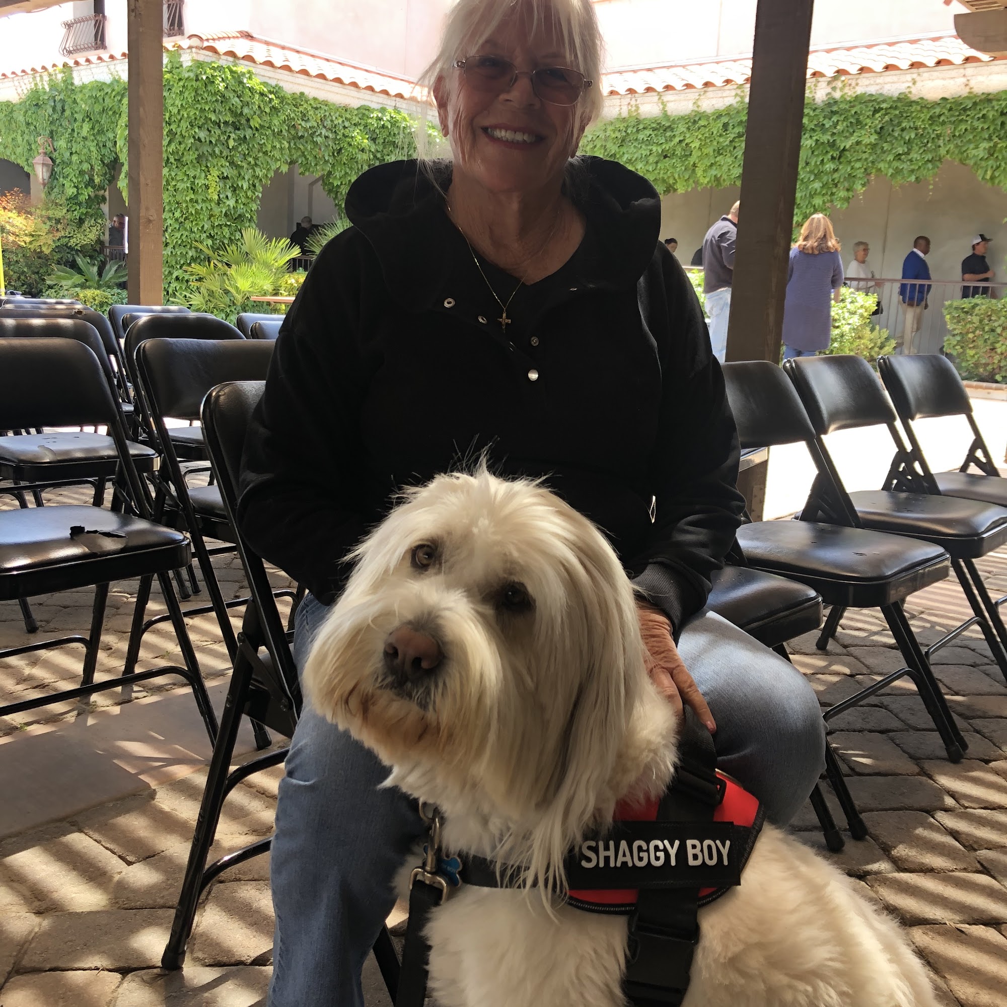 Mar Animal Hospital Hemet