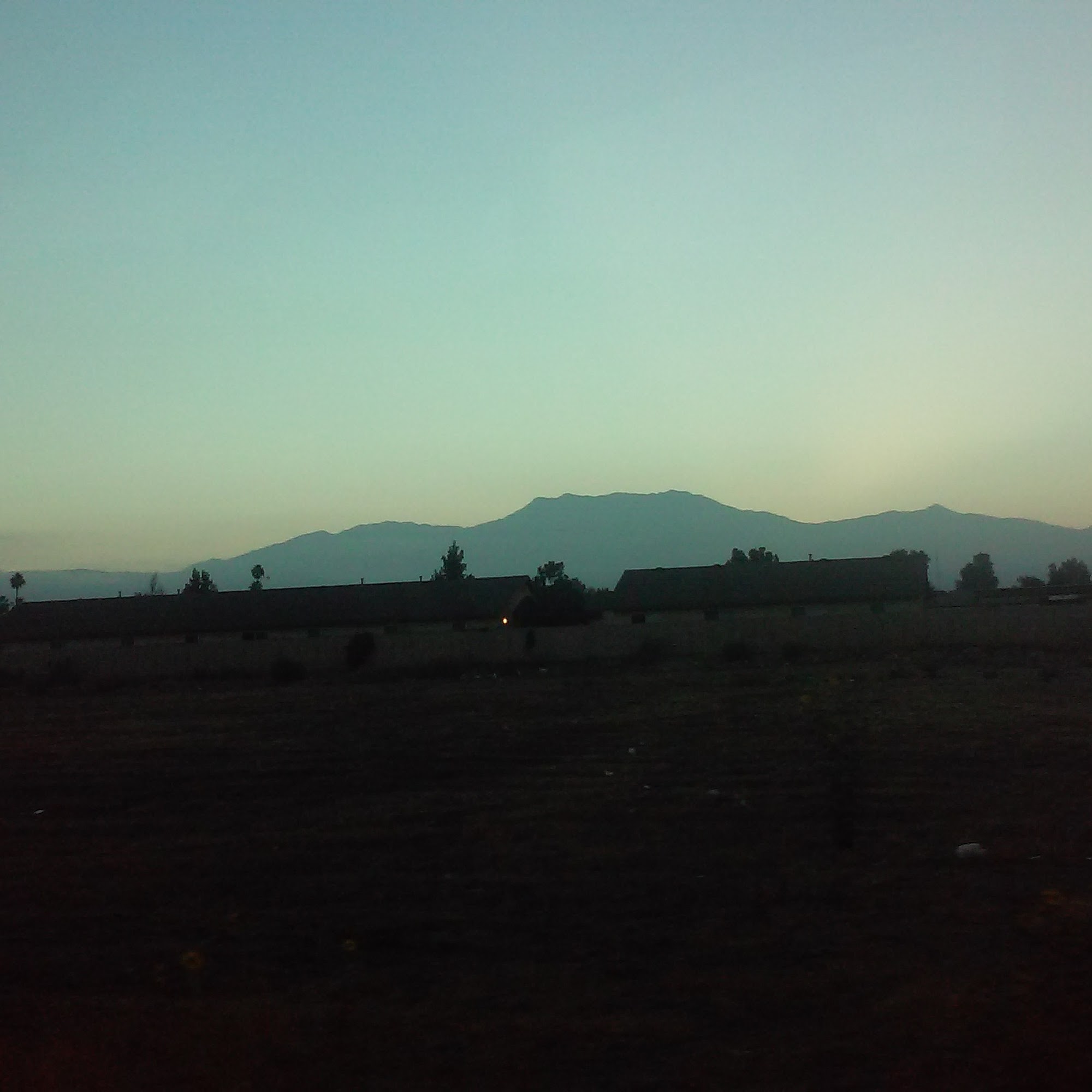 Dr. John J. Etchart, DVM (Horses only) Hemet