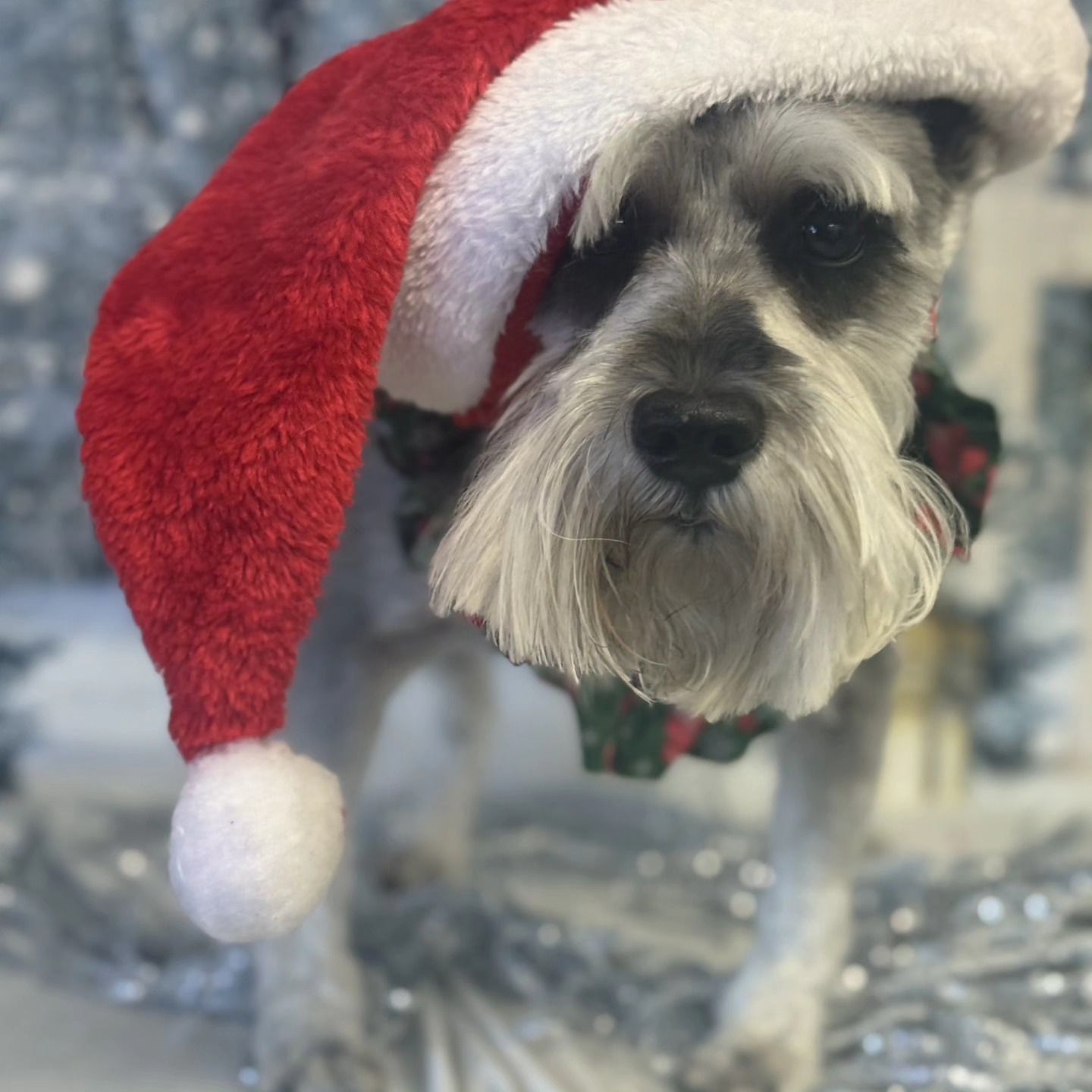 Furr Paradise Hemet, LLC Hemet