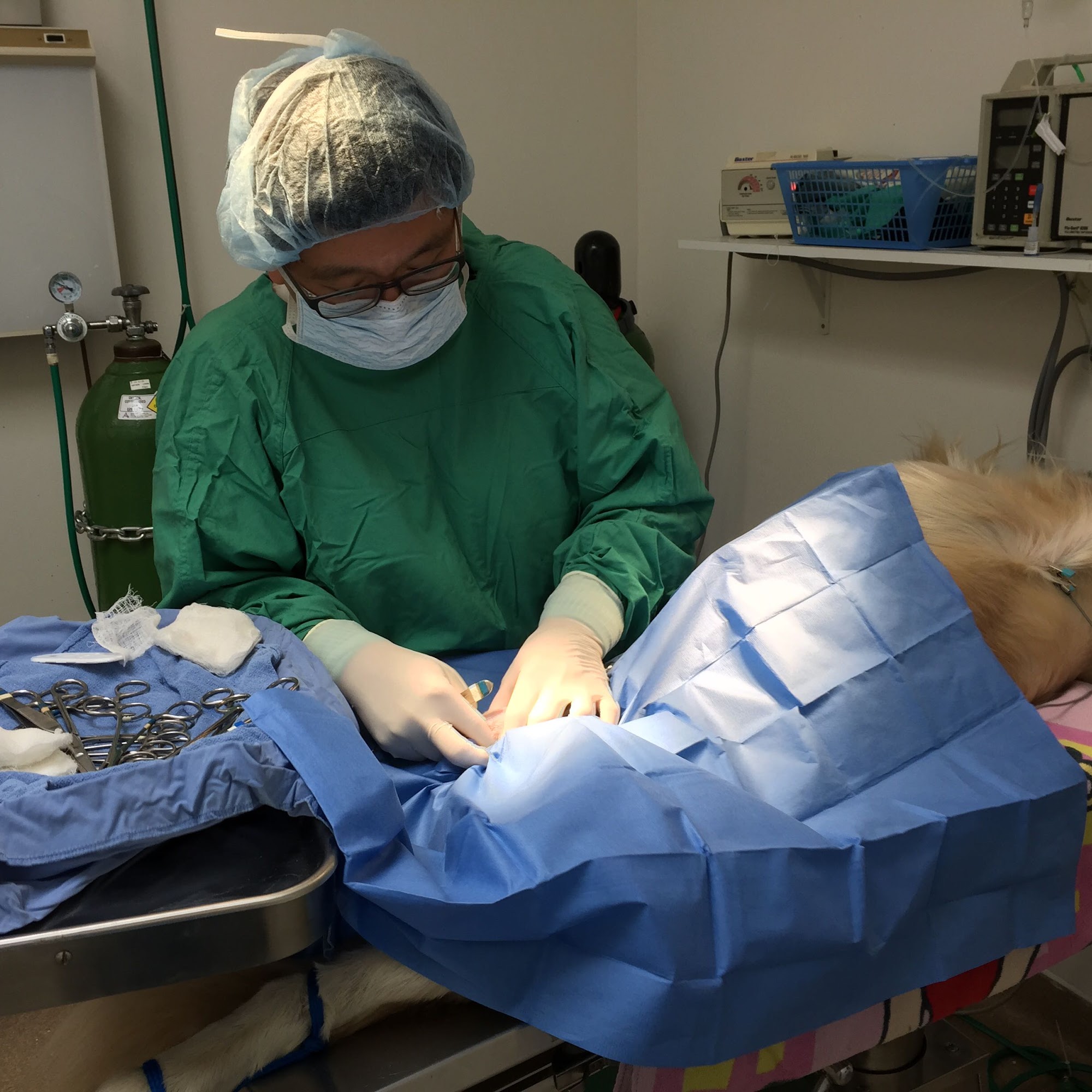 Samaritan Animal Hospital Hesperia