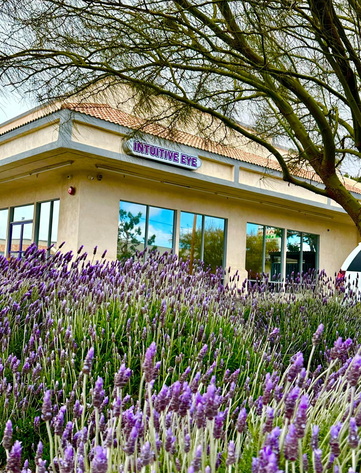 Intuitive Eye 9565 Seventh Ave, Hesperia California 92345