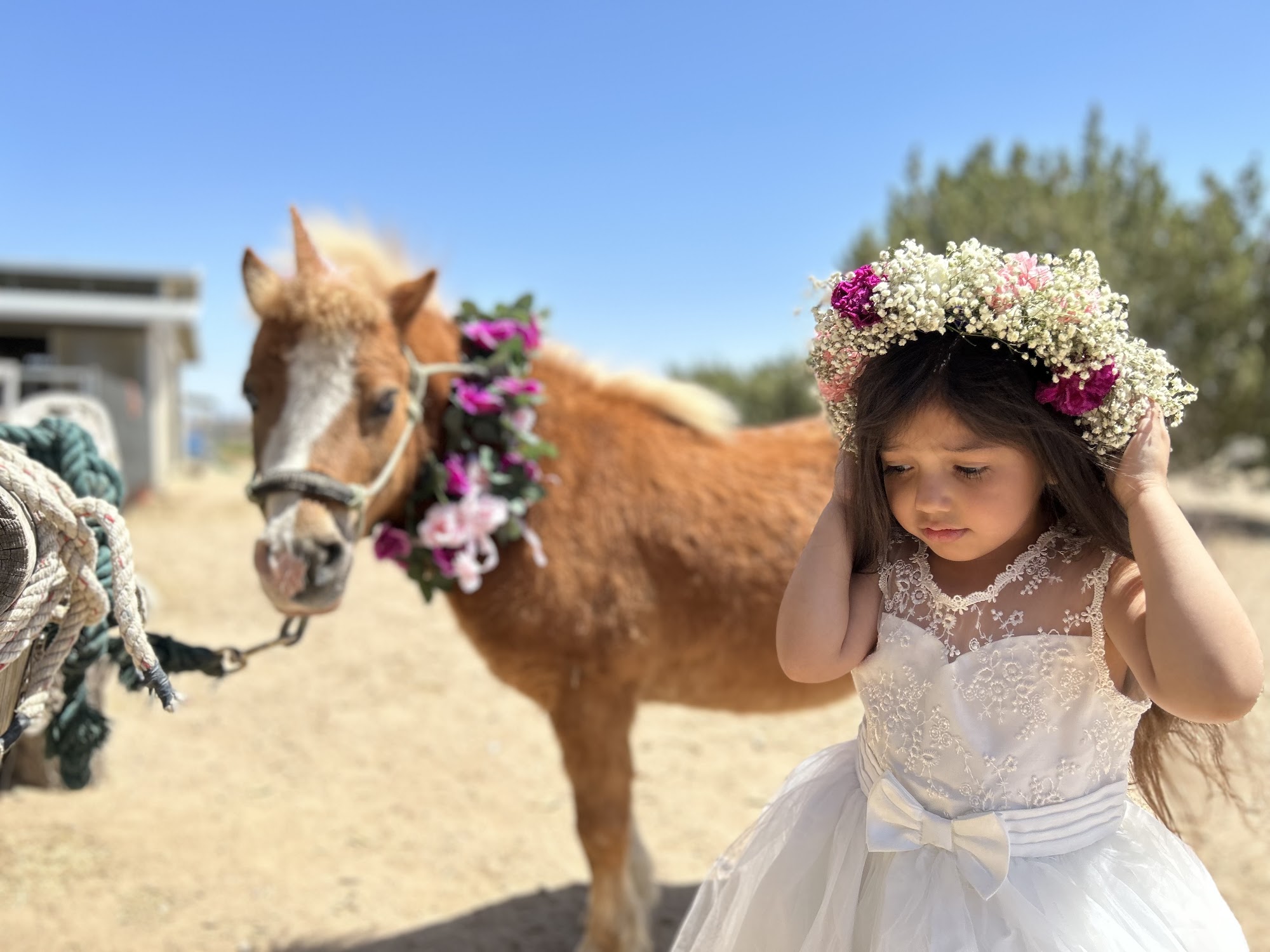Wild Wind Ranch horseback riding, Pony Parties and more Hesperia