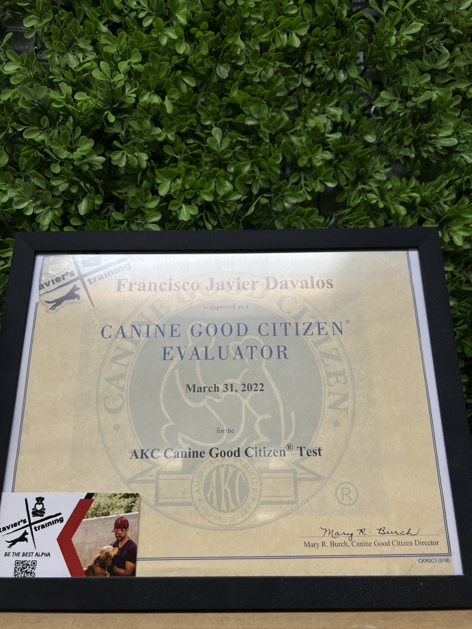 Xaviers Training Highland