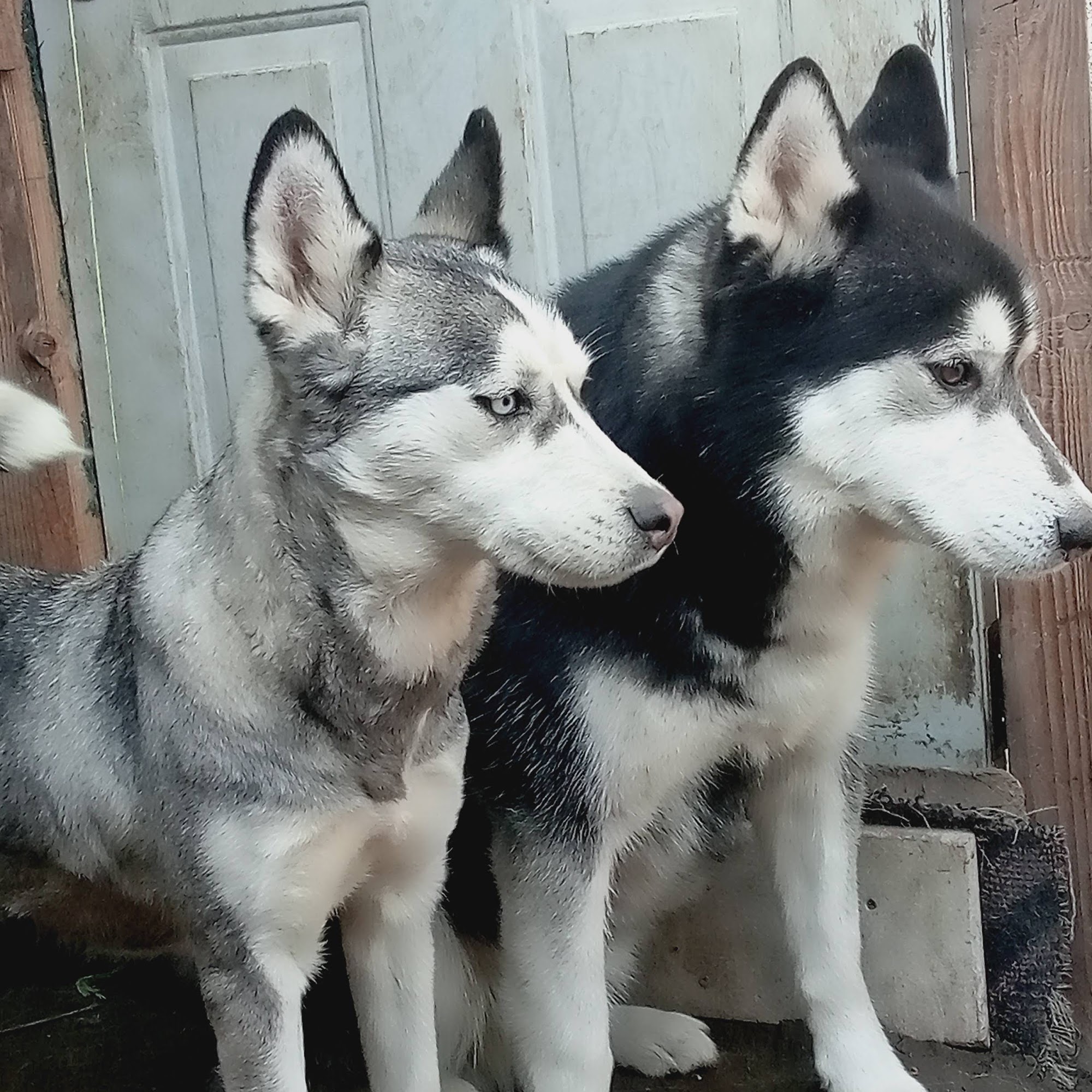 Hilmar Feed & Supply Store Hilmar