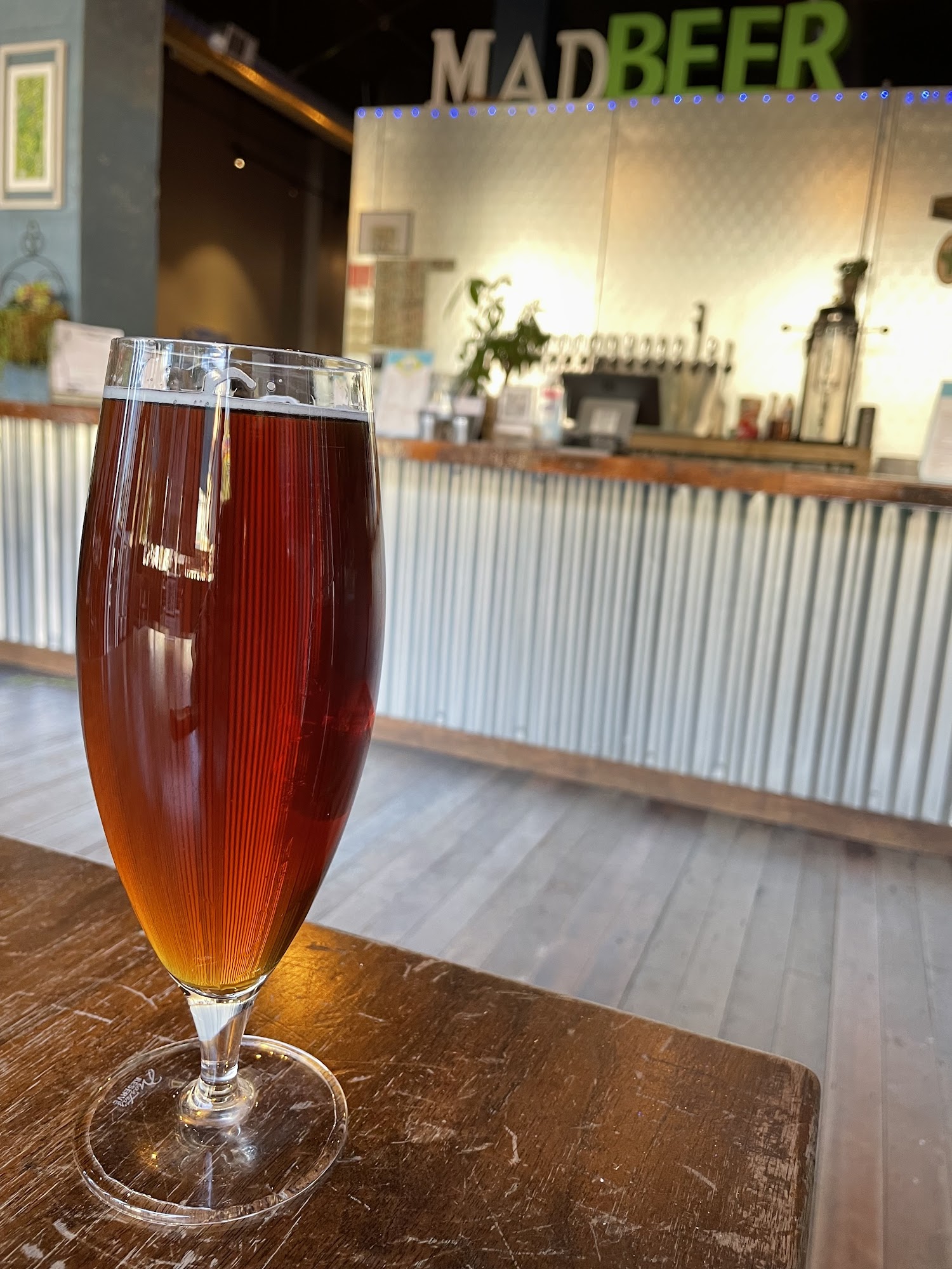 Mad Pursuit Brewing Company Hollister