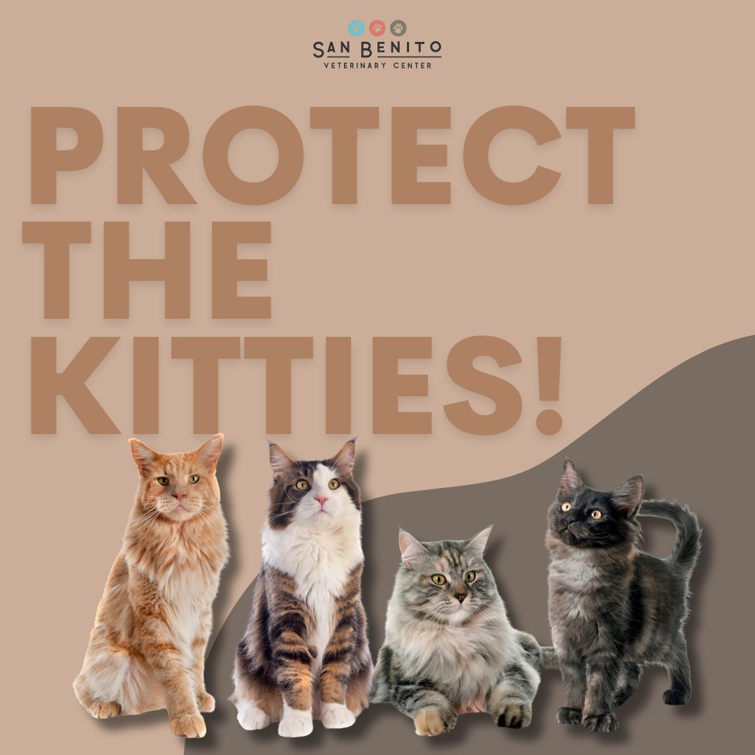 San Benito Veterinary Center Hollister