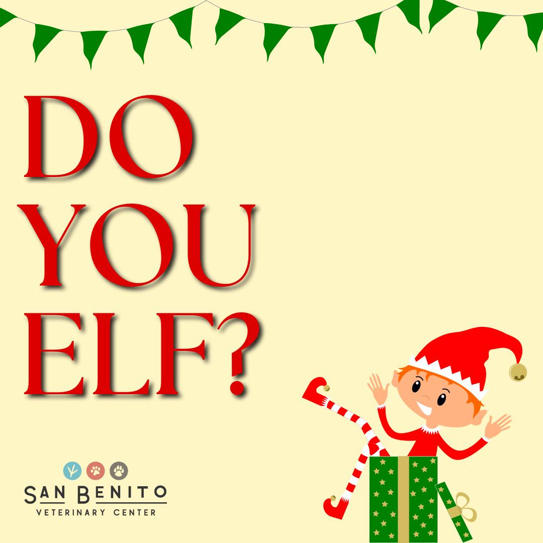 San Benito Veterinary Center Hollister