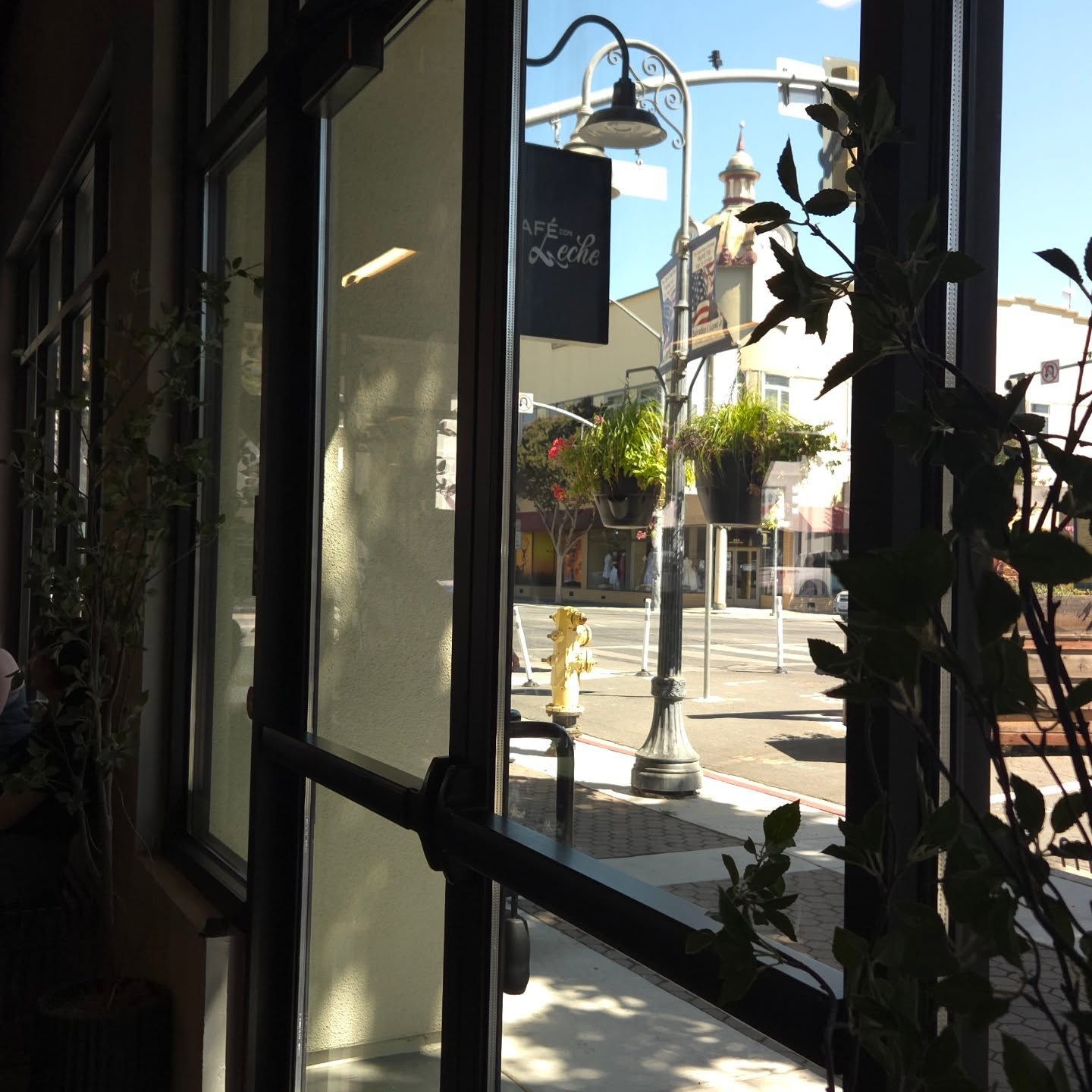 Café Con Leche Con Amor Hollister