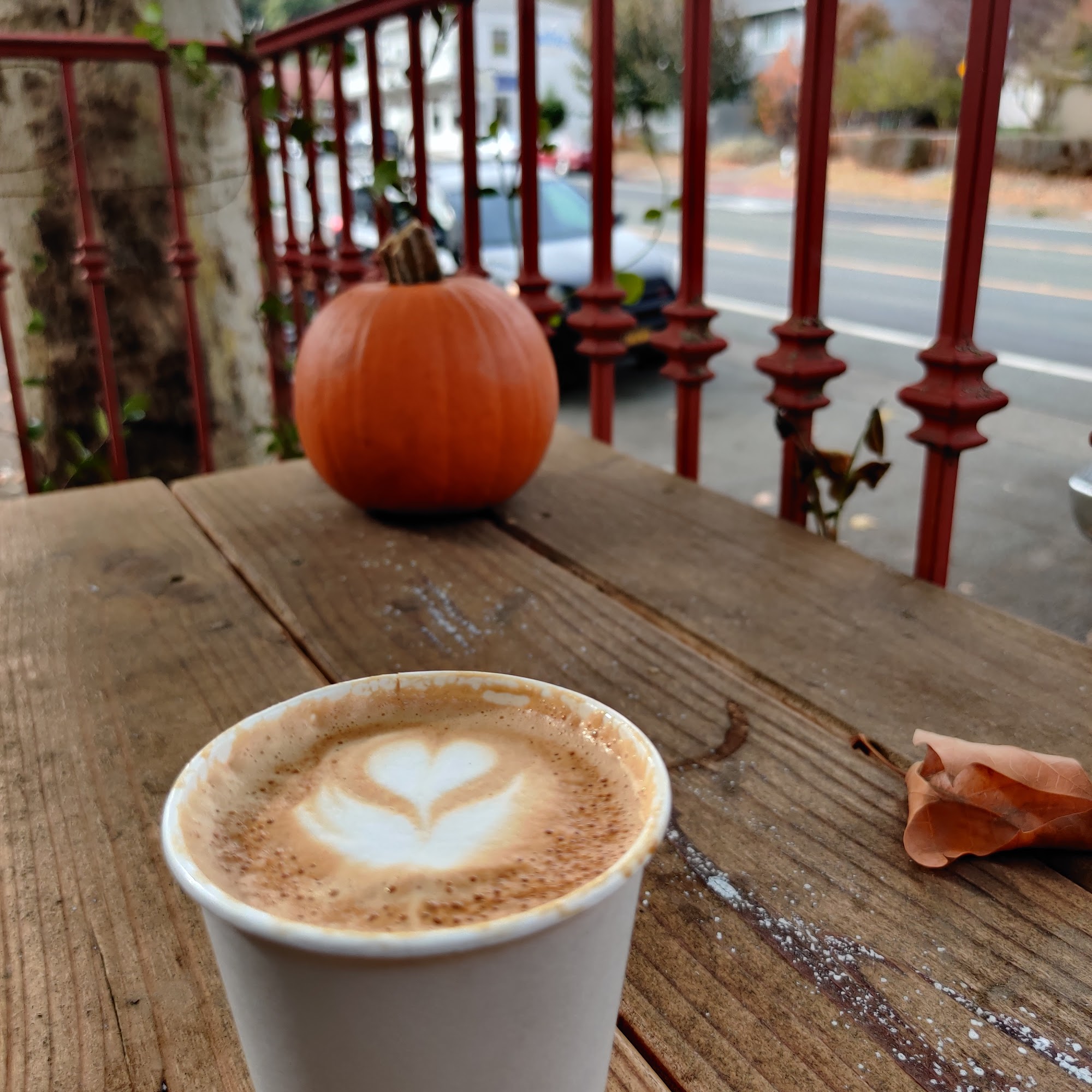 STEEP Organic Coffee and Tea Hopland