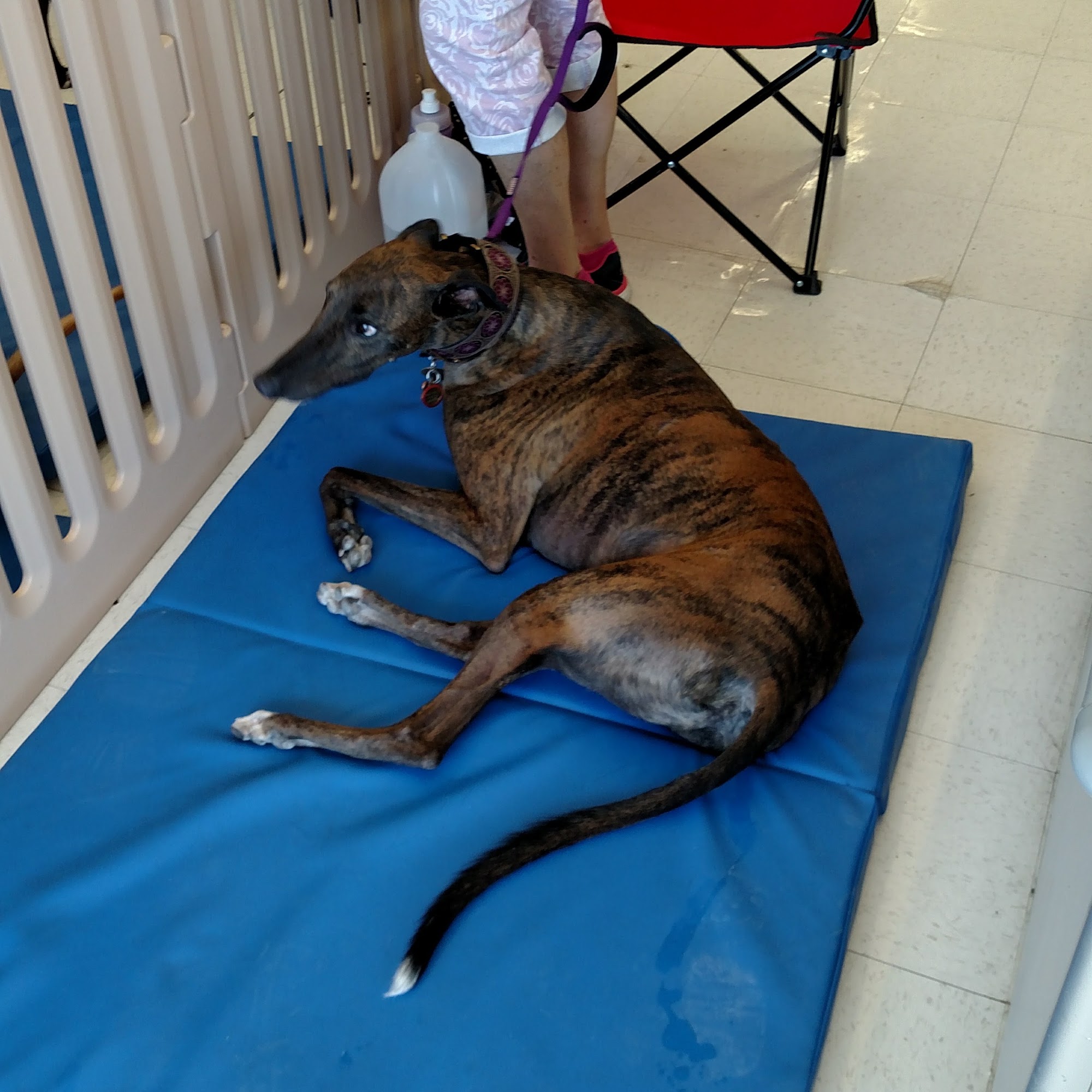 Petco Huntington Beach