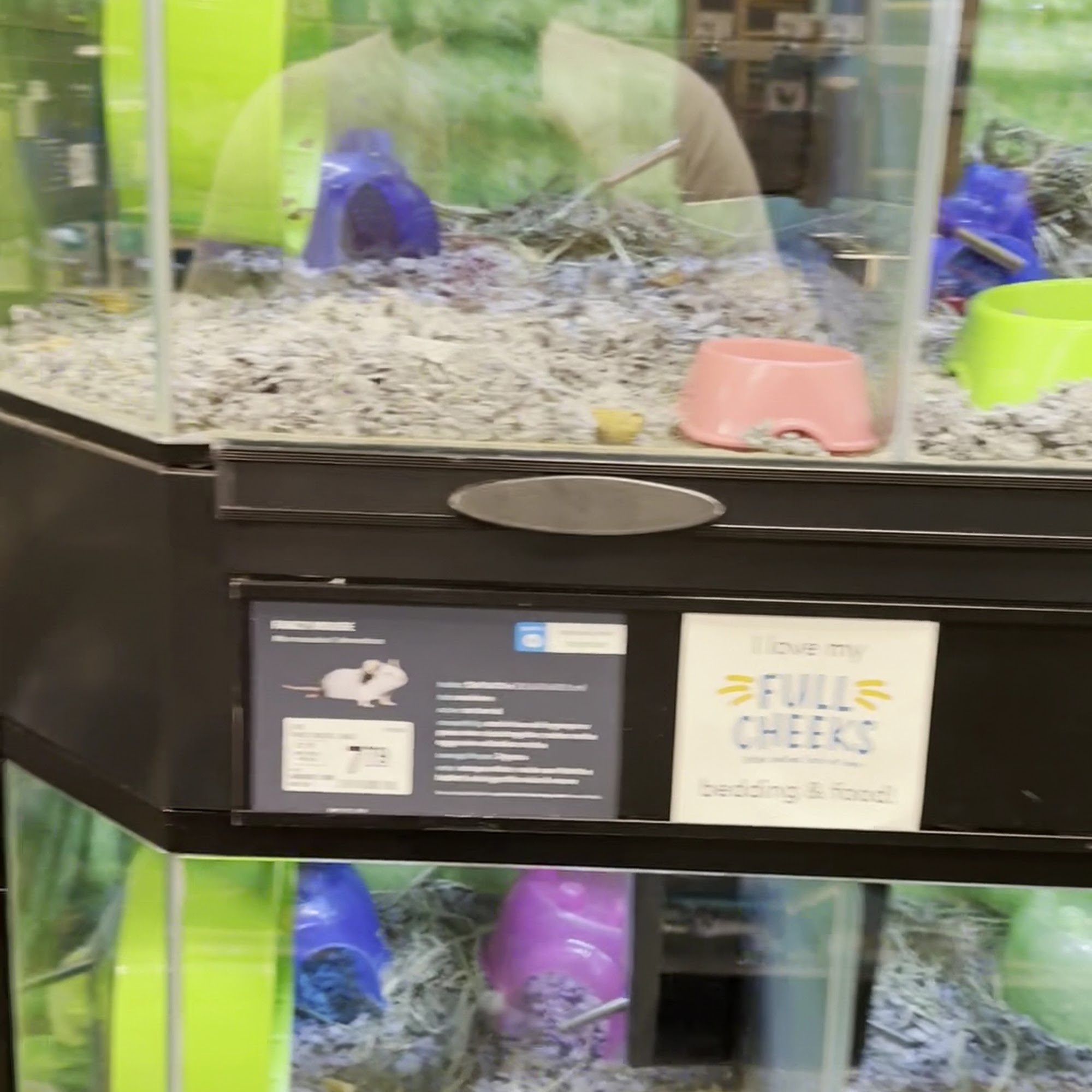 PetSmart Huntington Beach