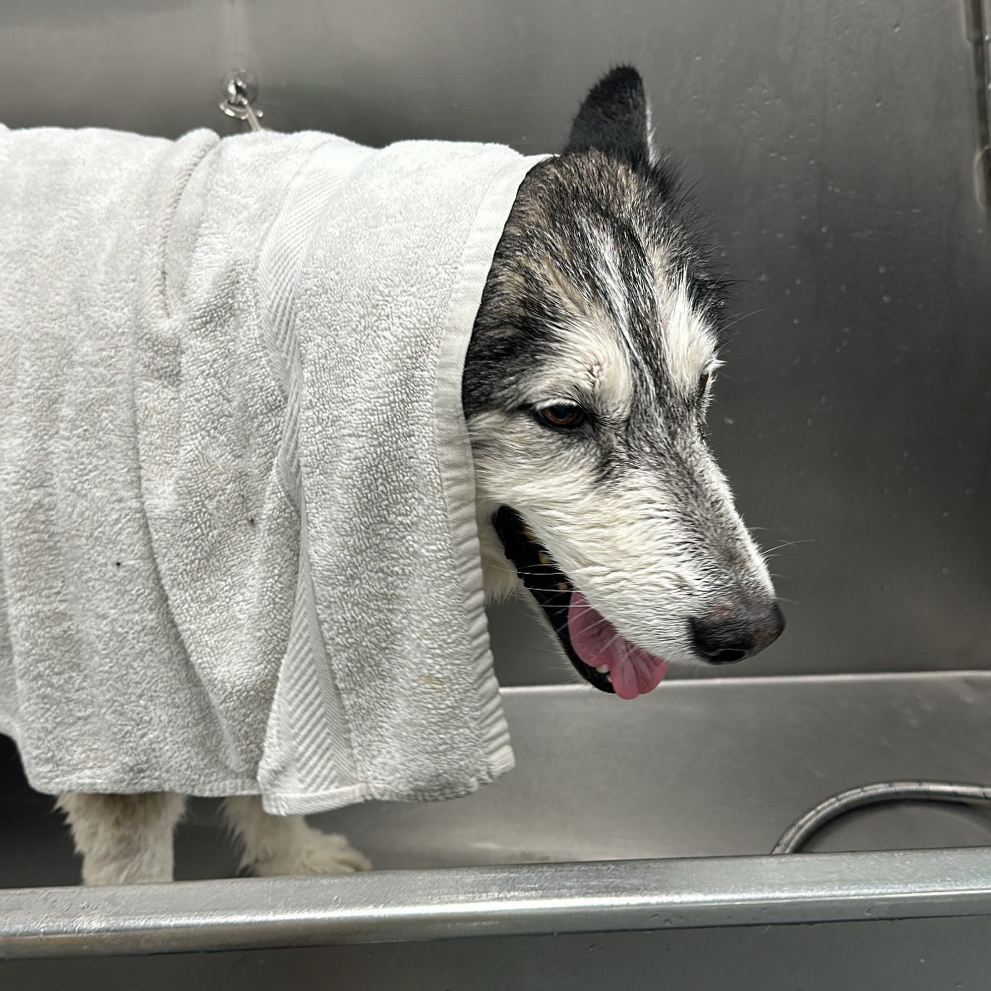 Centinela Feed & Pet Supplies Huntington Beach