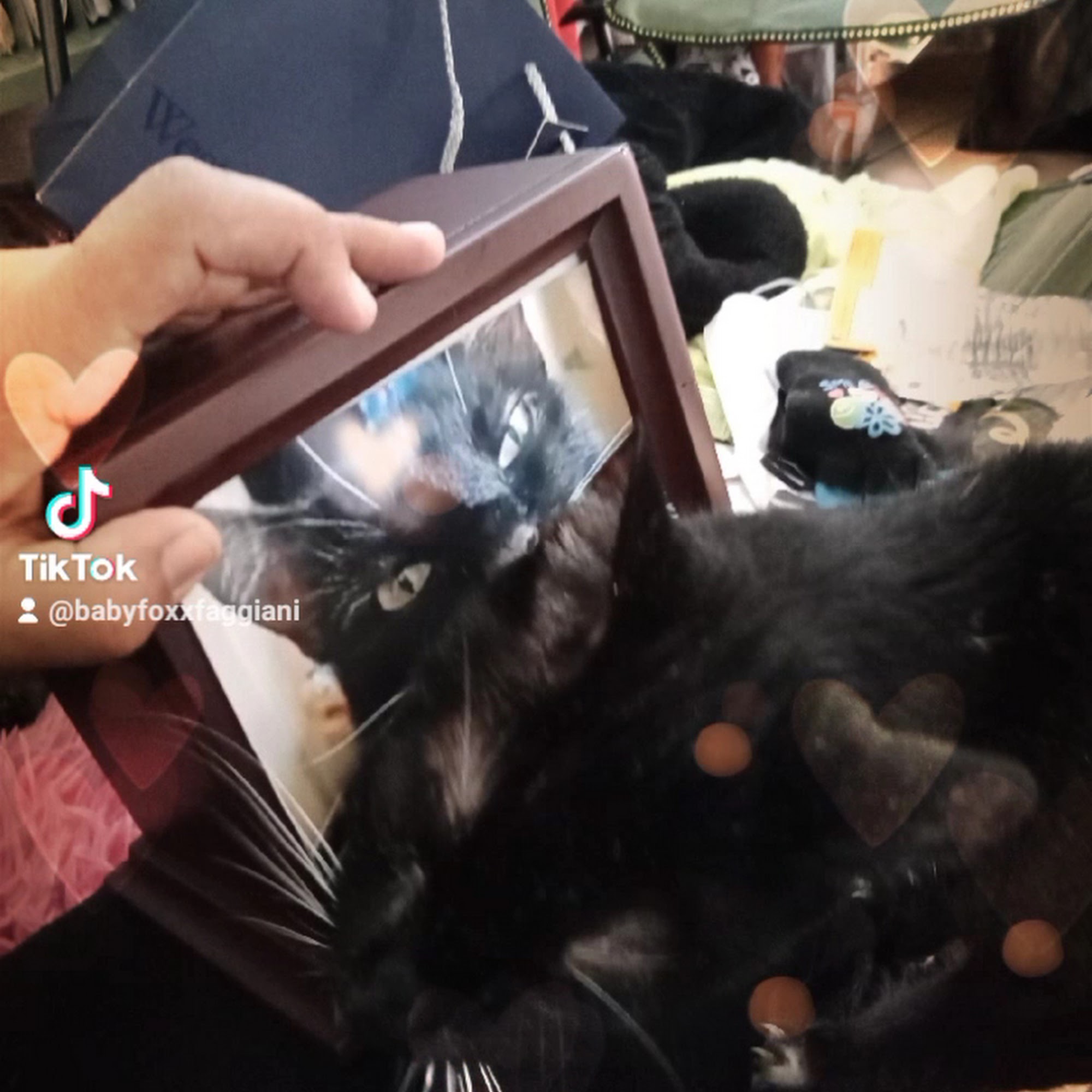 Sea Breeze Pet Cemetery Huntington Beach