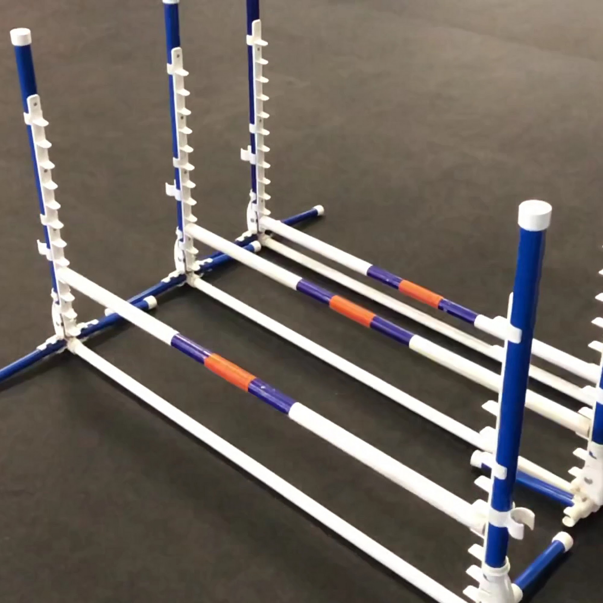 Zoom Room Dog Training Huntington Beach