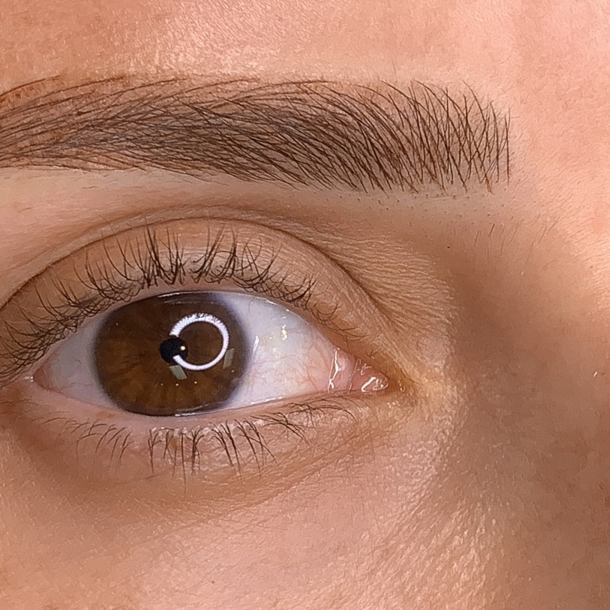 Ashley Brow Artistry