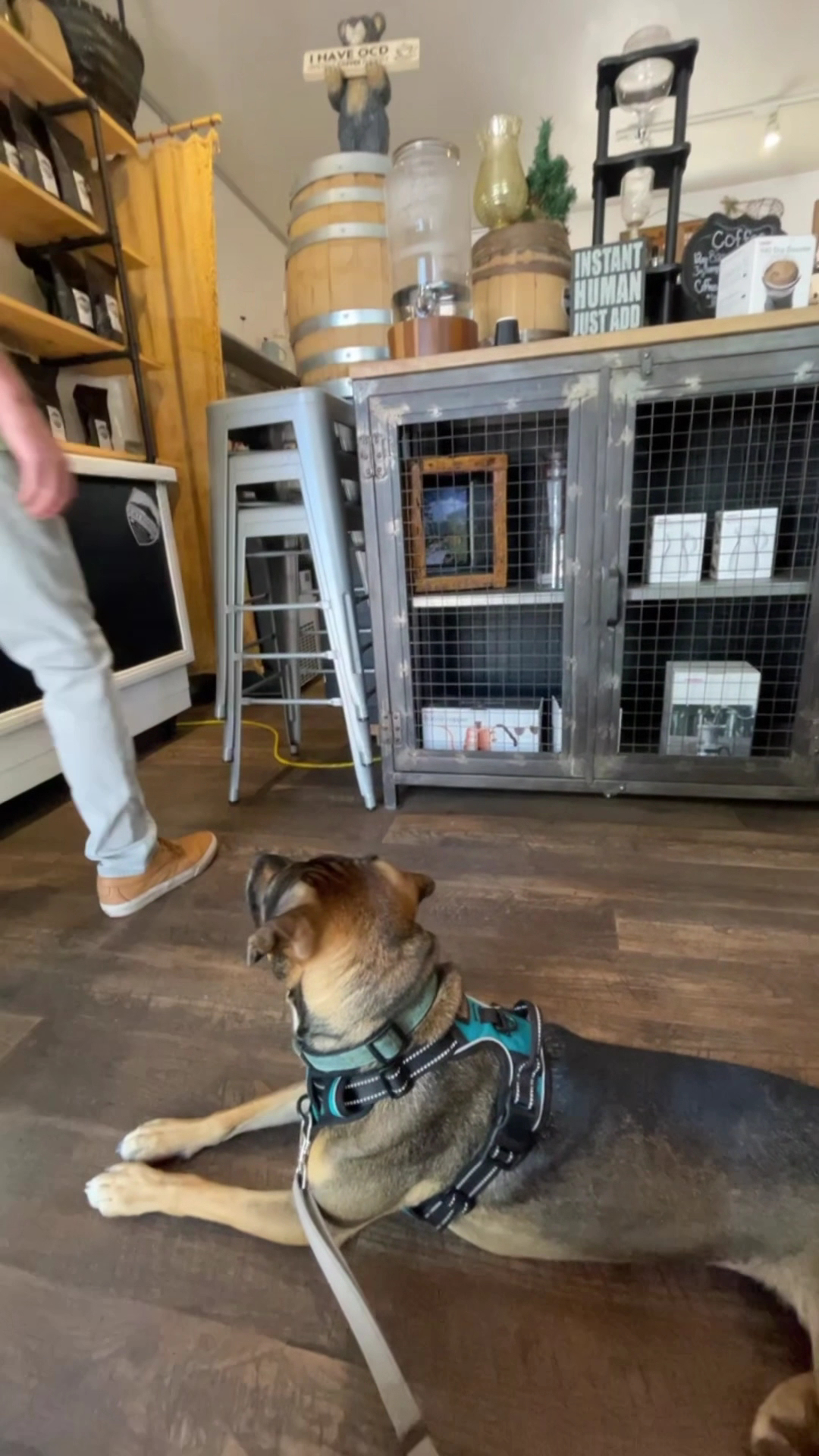 Black Mountain Coffee Roasting Menu