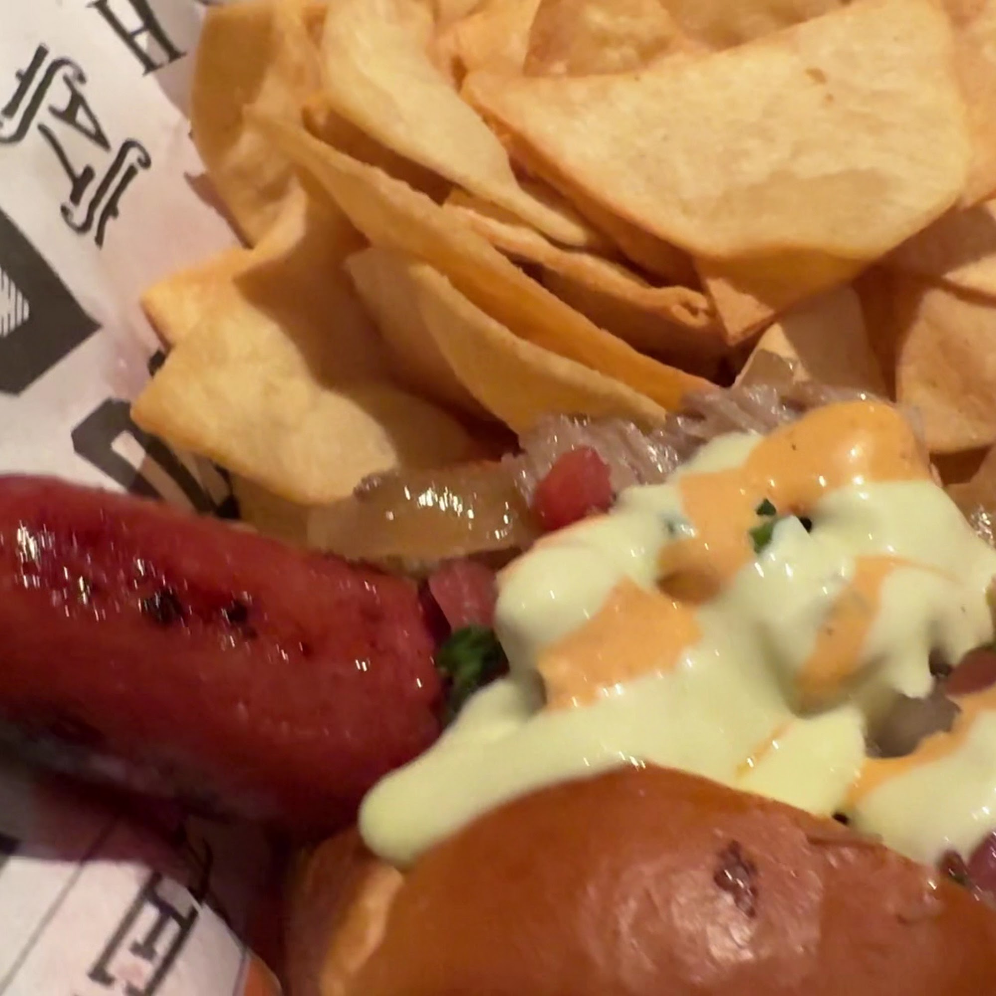 Doggos Gus Imperial Beach