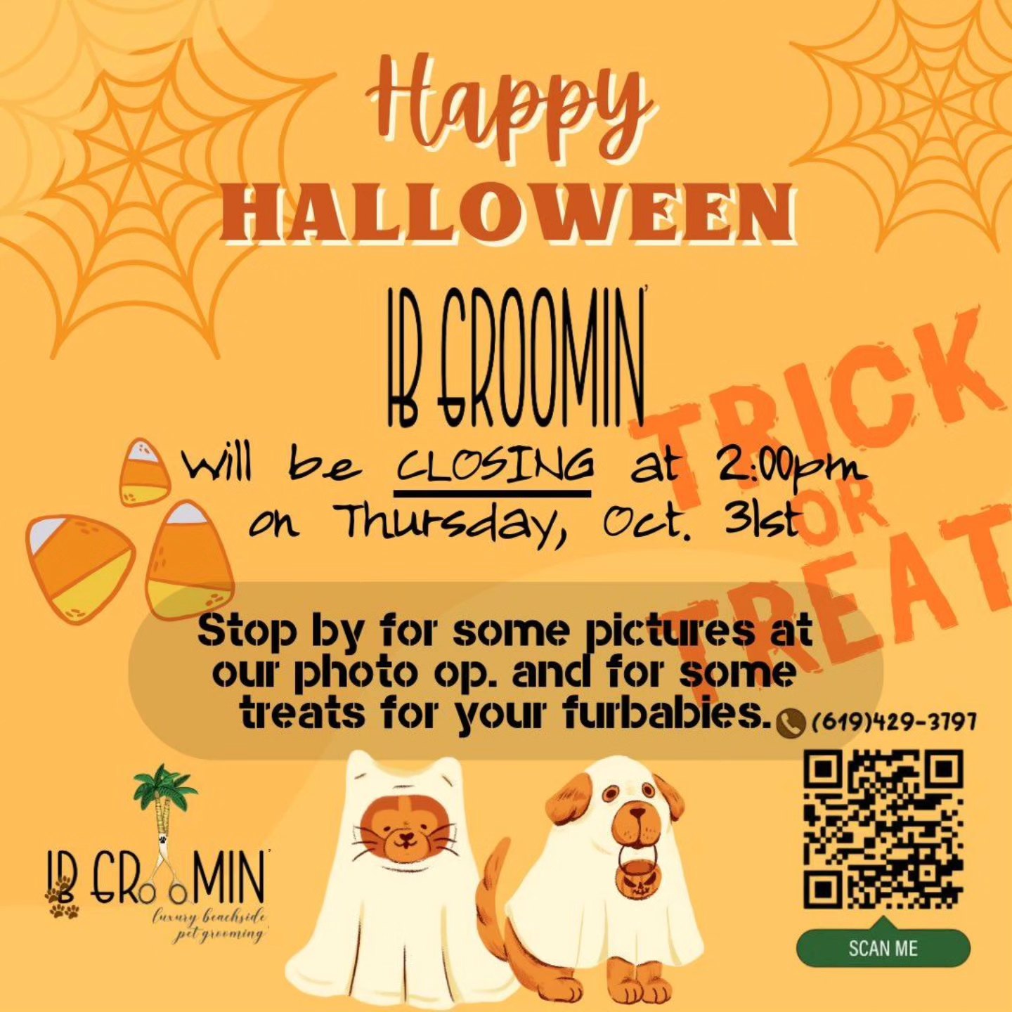 IB Groomin Imperial Beach