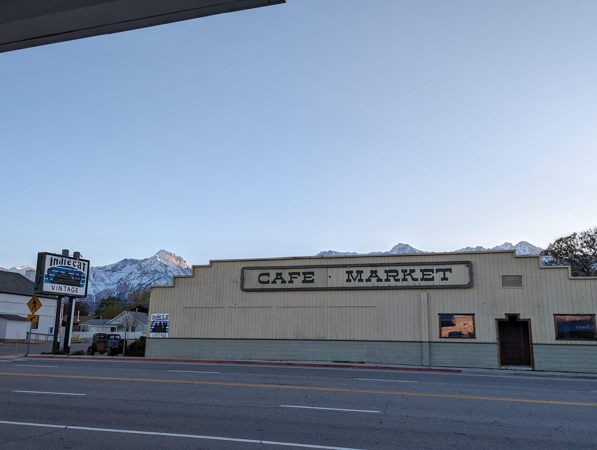 Indie Cat Vintage Independence