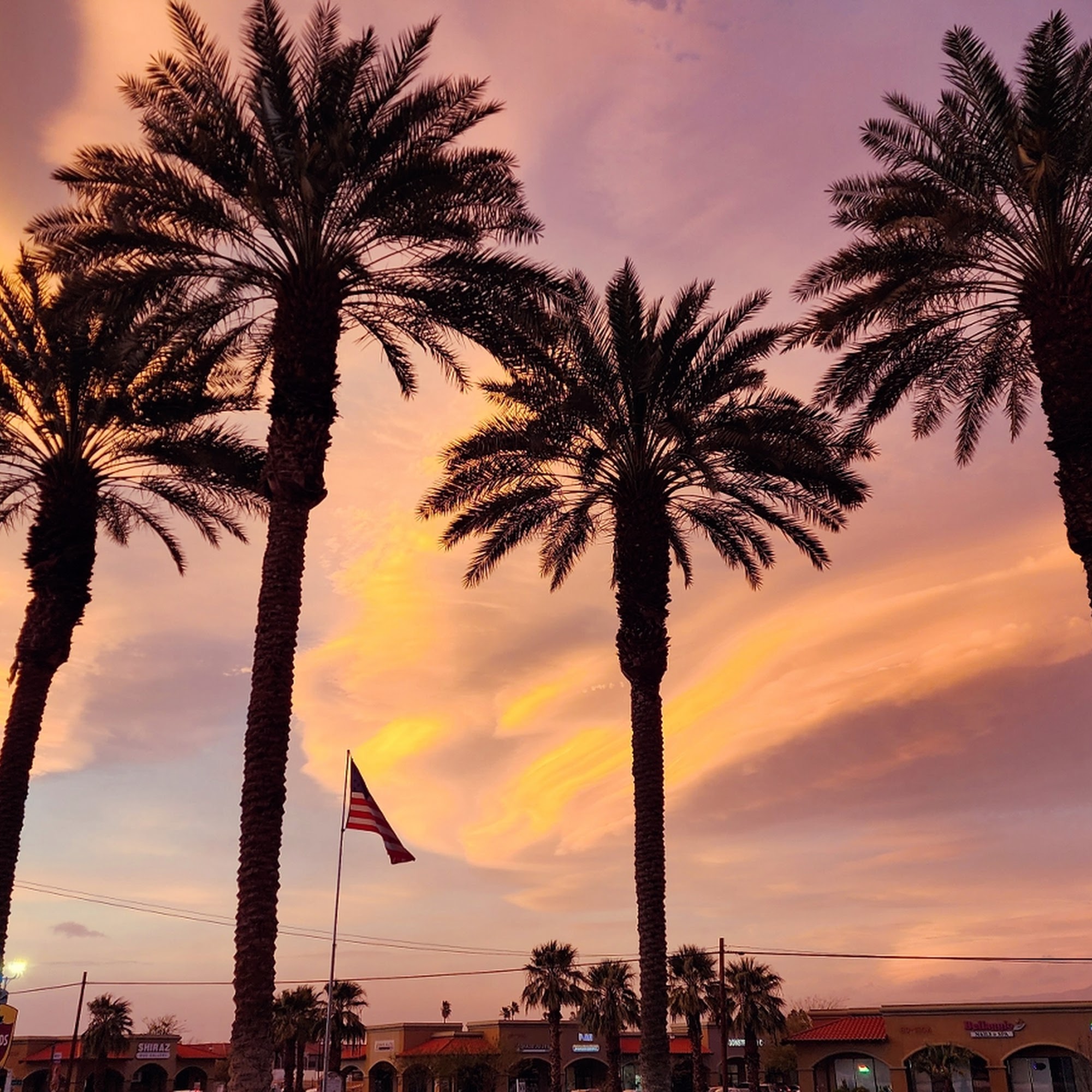 Shields Date Garden Indio