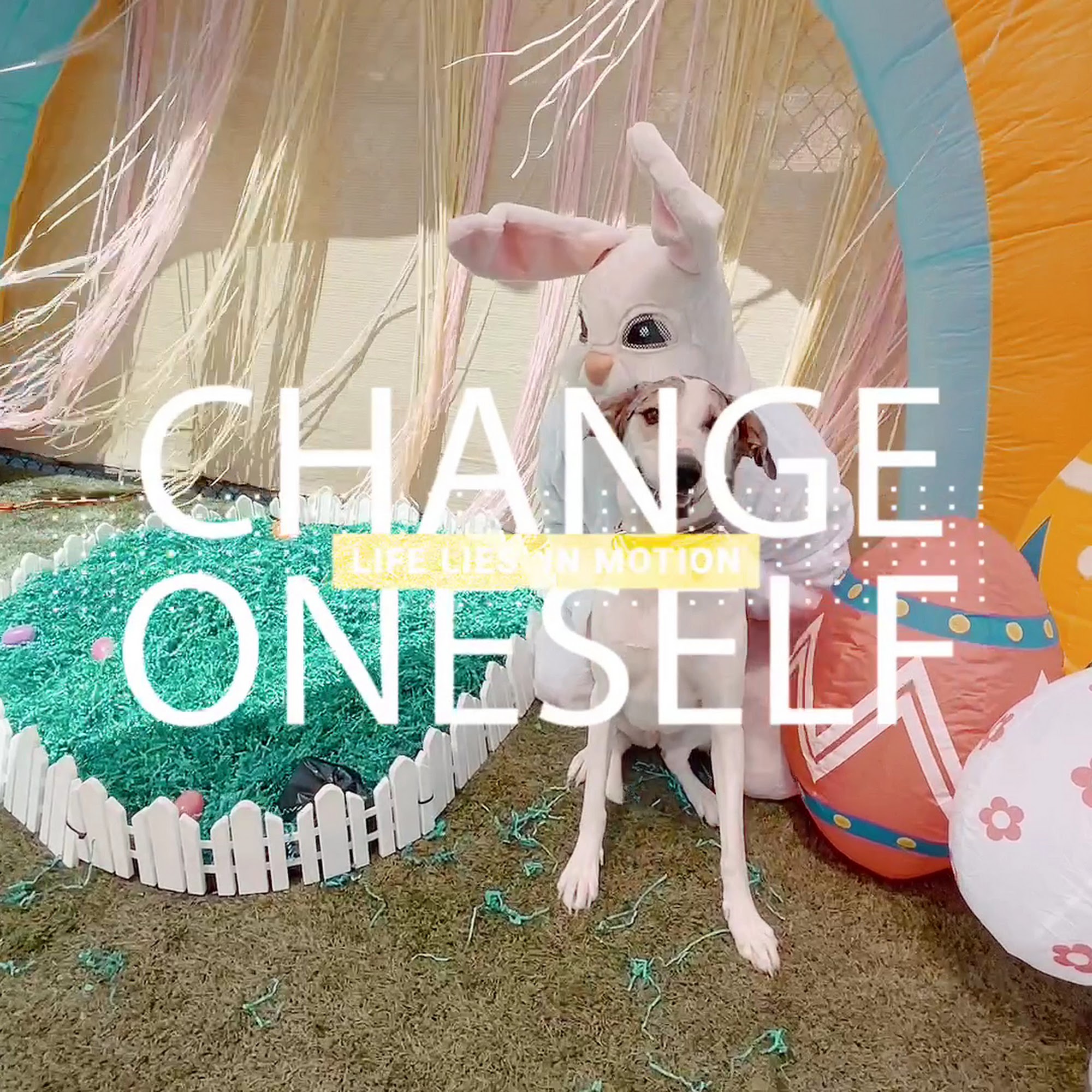 South Park Doggie - Waterland (LAX) Inglewood