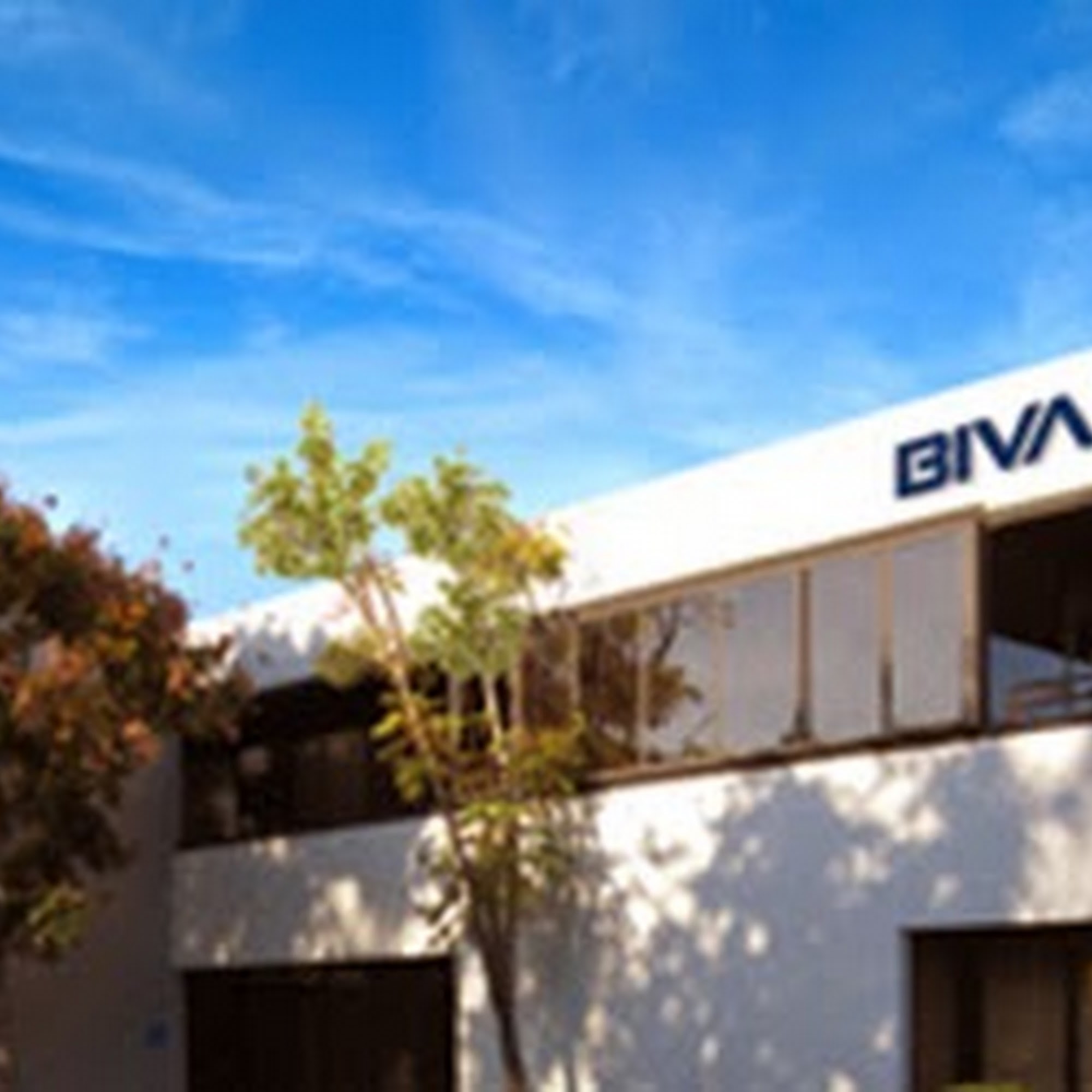 Bivar Irvine
