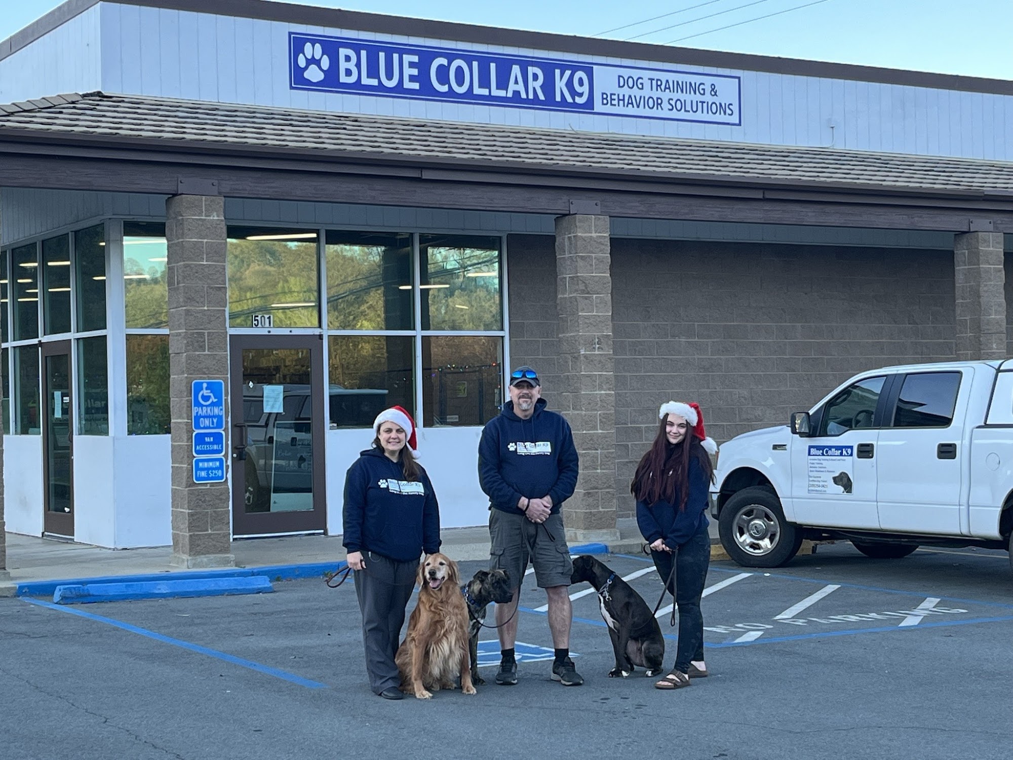 Blue Collar K9 Dog Training Jackson