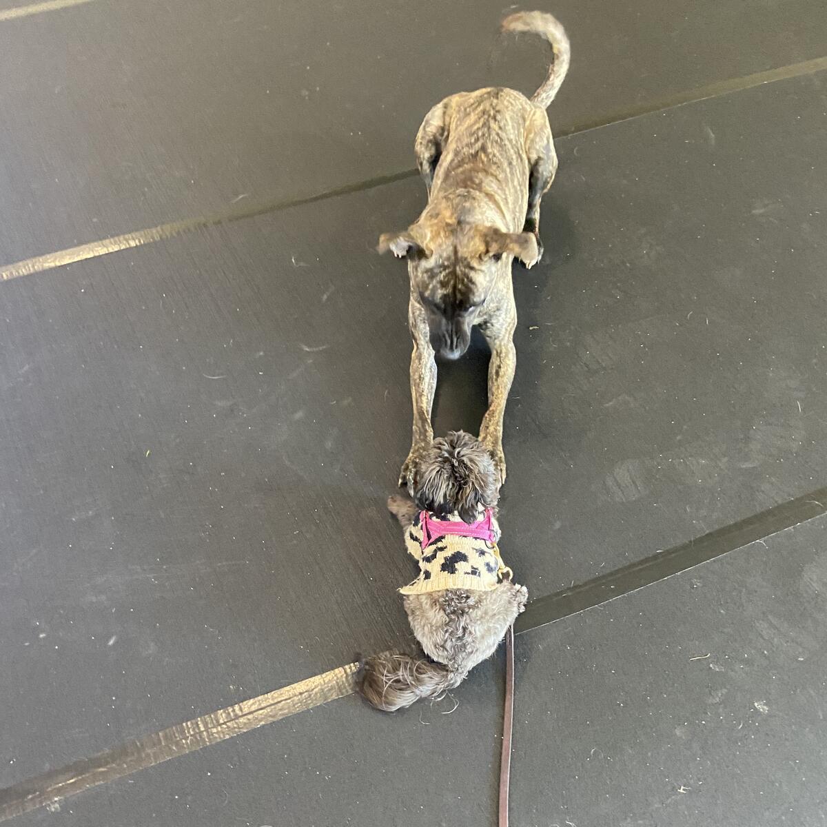 Photo credit: nextdoor