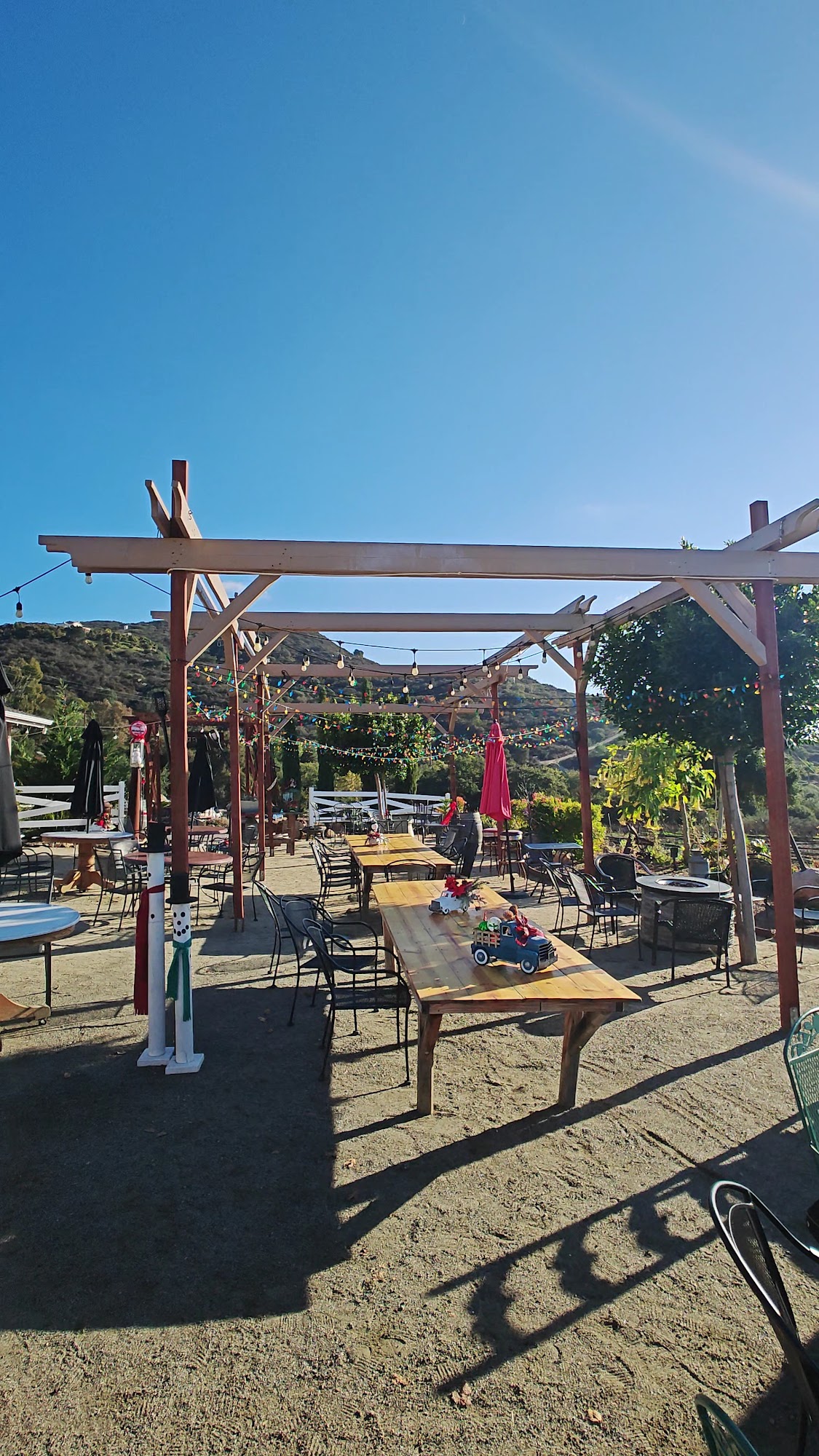 Rustic Ridge Vineyards Menu