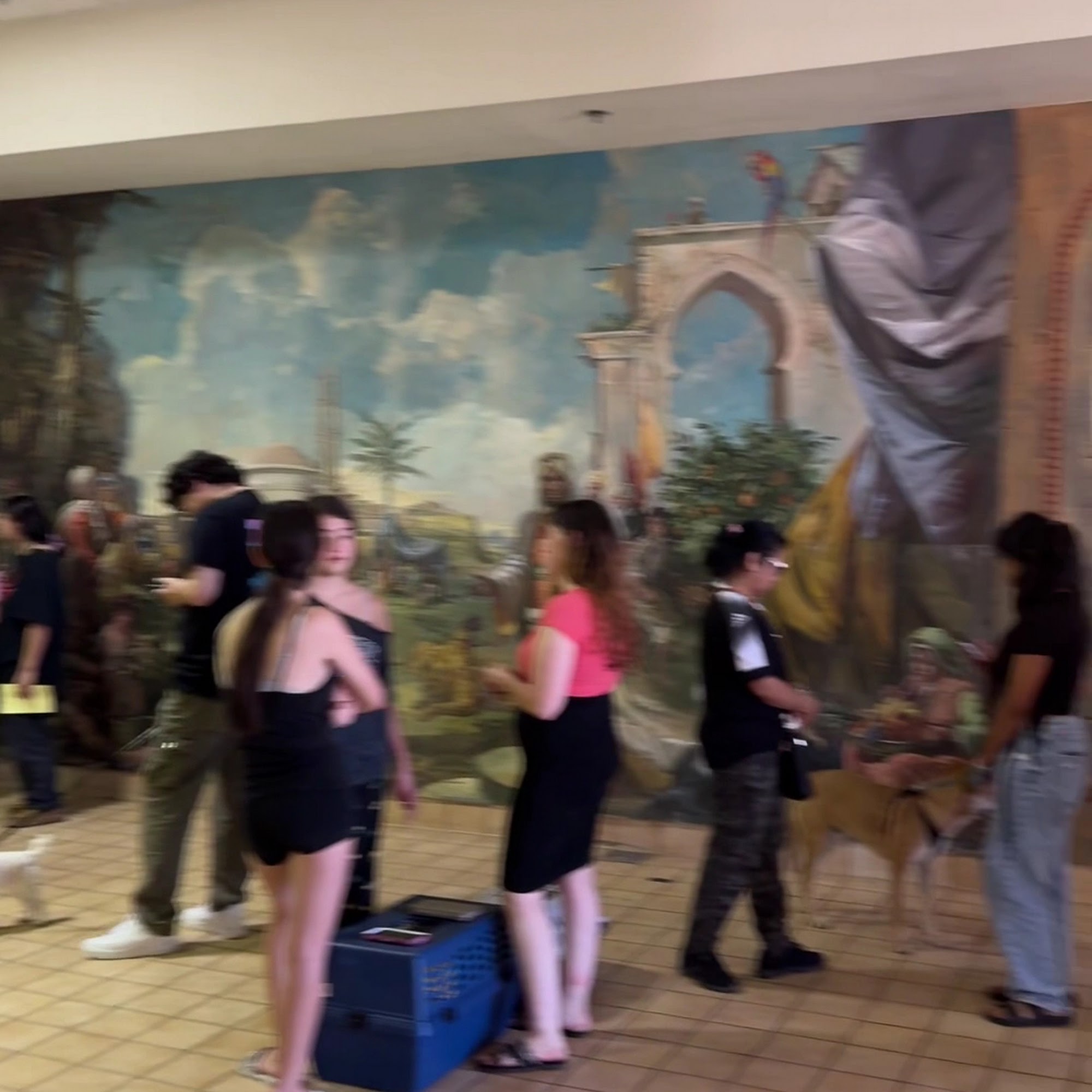 Animal Action League Joshua Tree