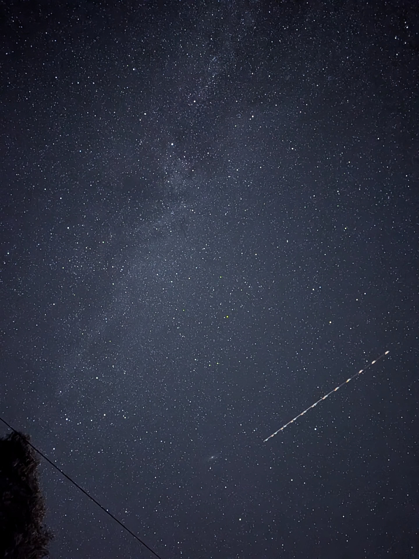 Menghini Winery Menu