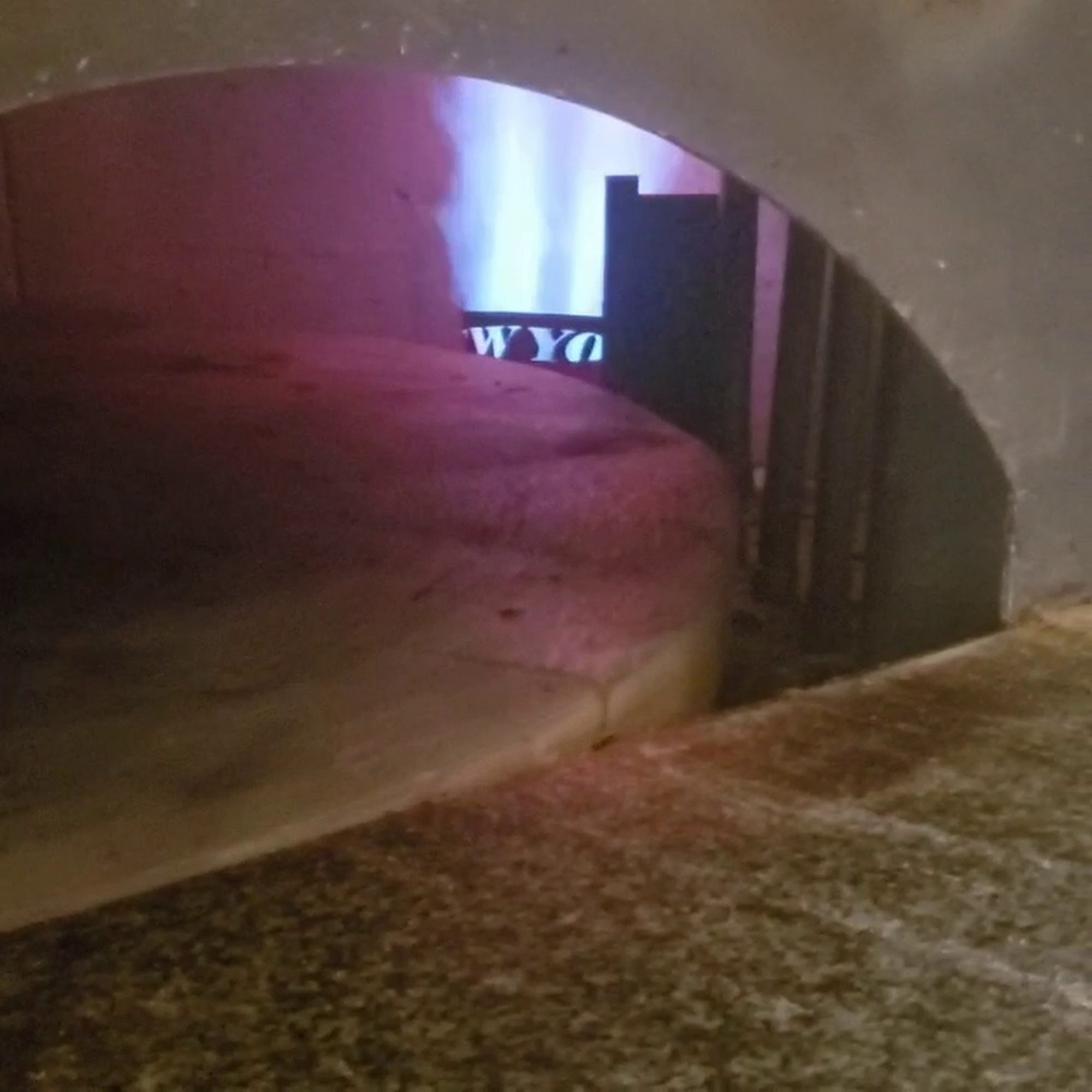 June Pie Pizza Co. June Lake